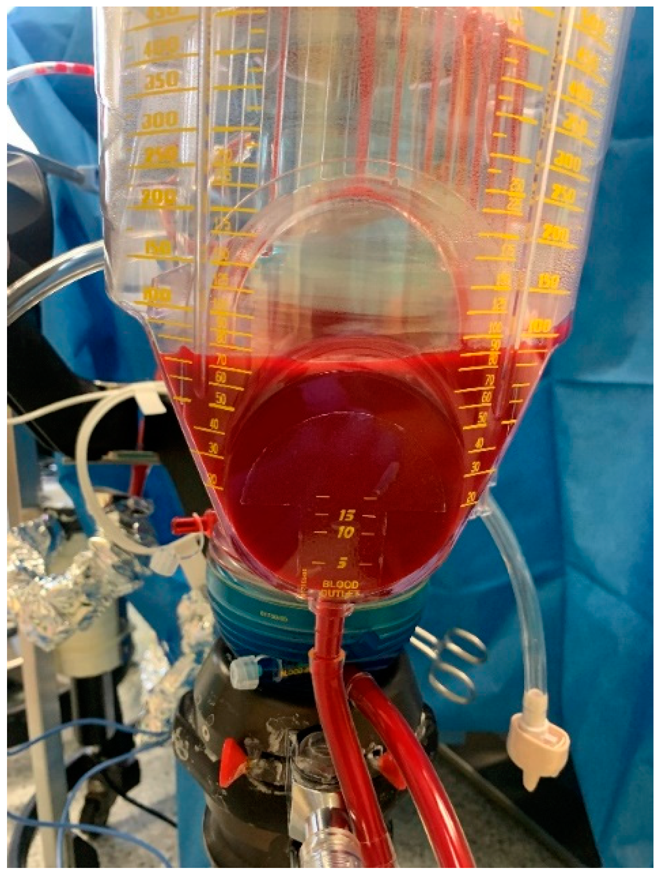 Jcm 12 06542 g002 Jcm 12 06542 g002