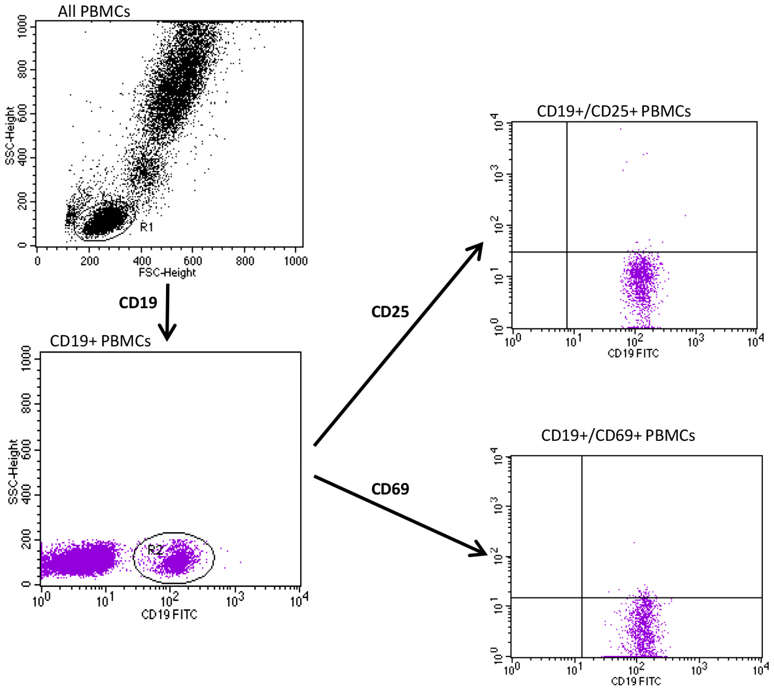 Jcm 12 06573 g001 Jcm 12 06573 g001
