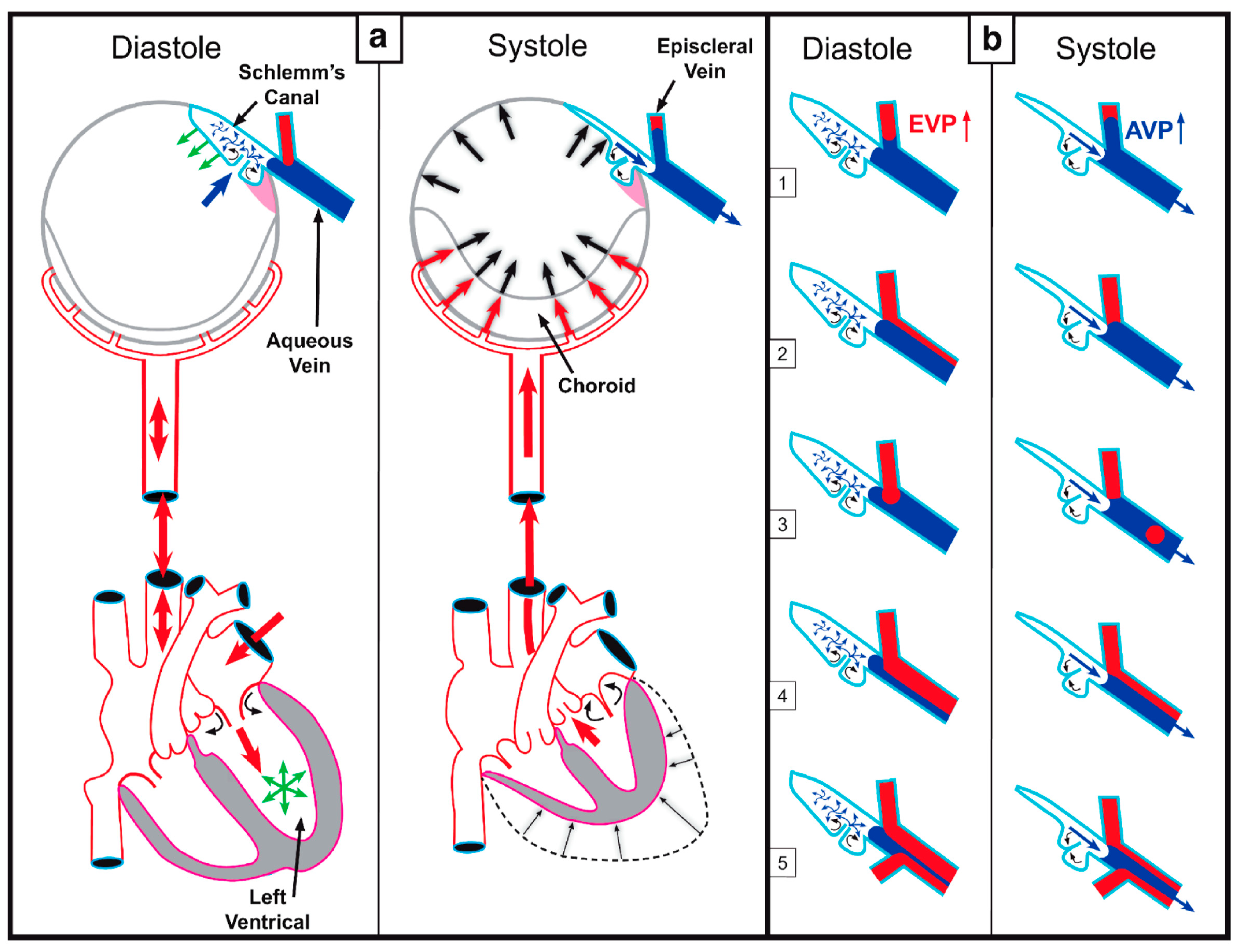 Jcm 12 06599 g001 Jcm 12 06599 g001