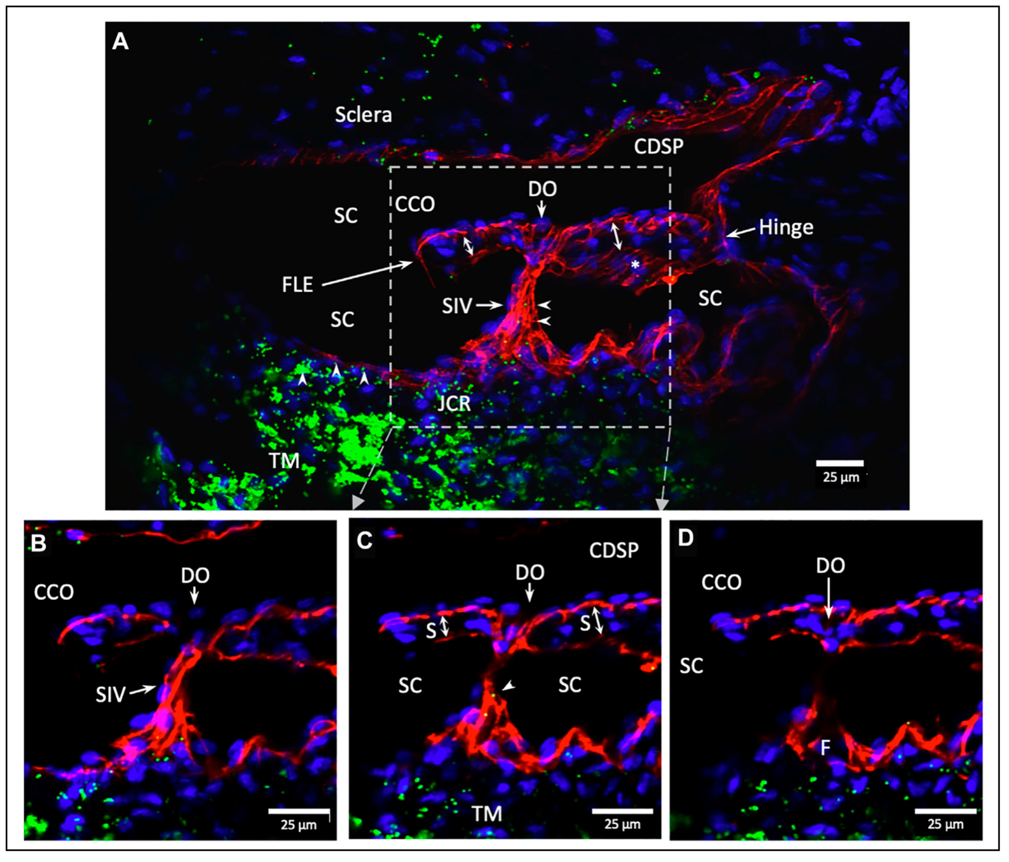 Jcm 12 06599 g003 Jcm 12 06599 g003