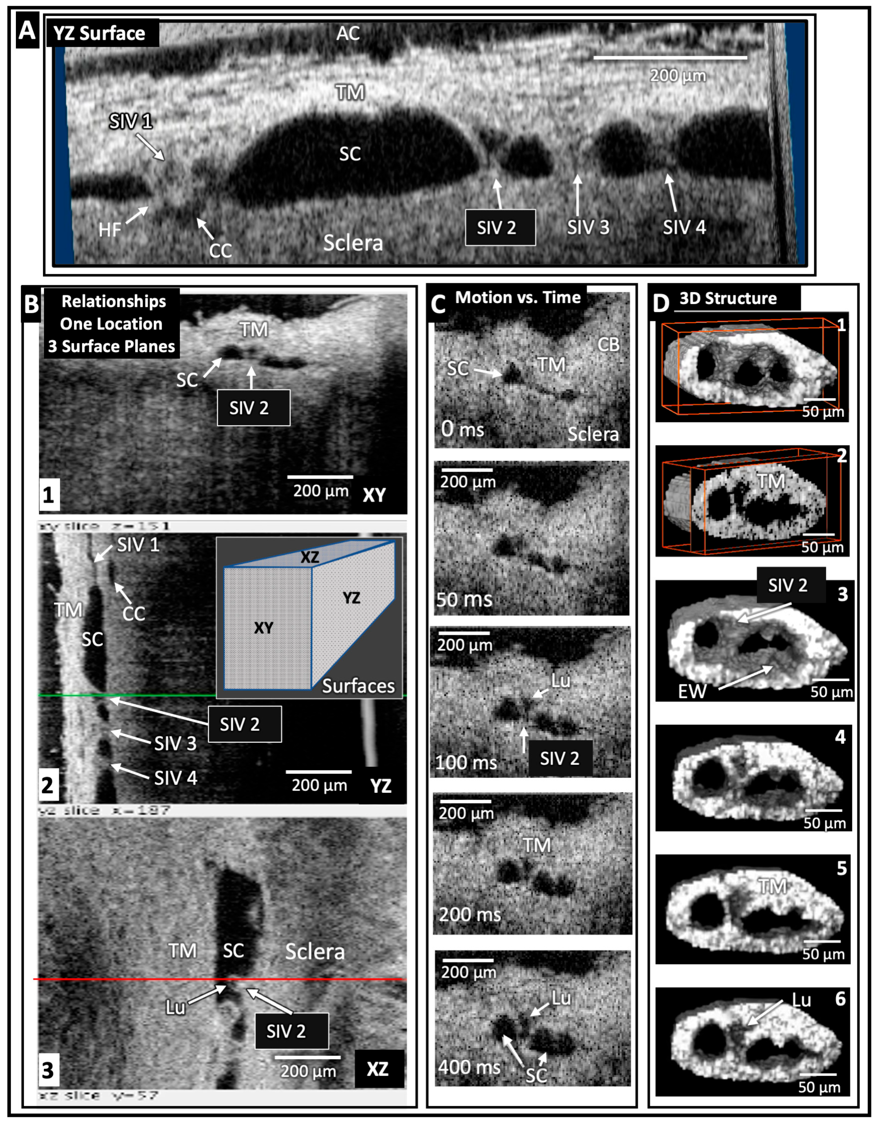 Jcm 12 06599 g004 Jcm 12 06599 g004
