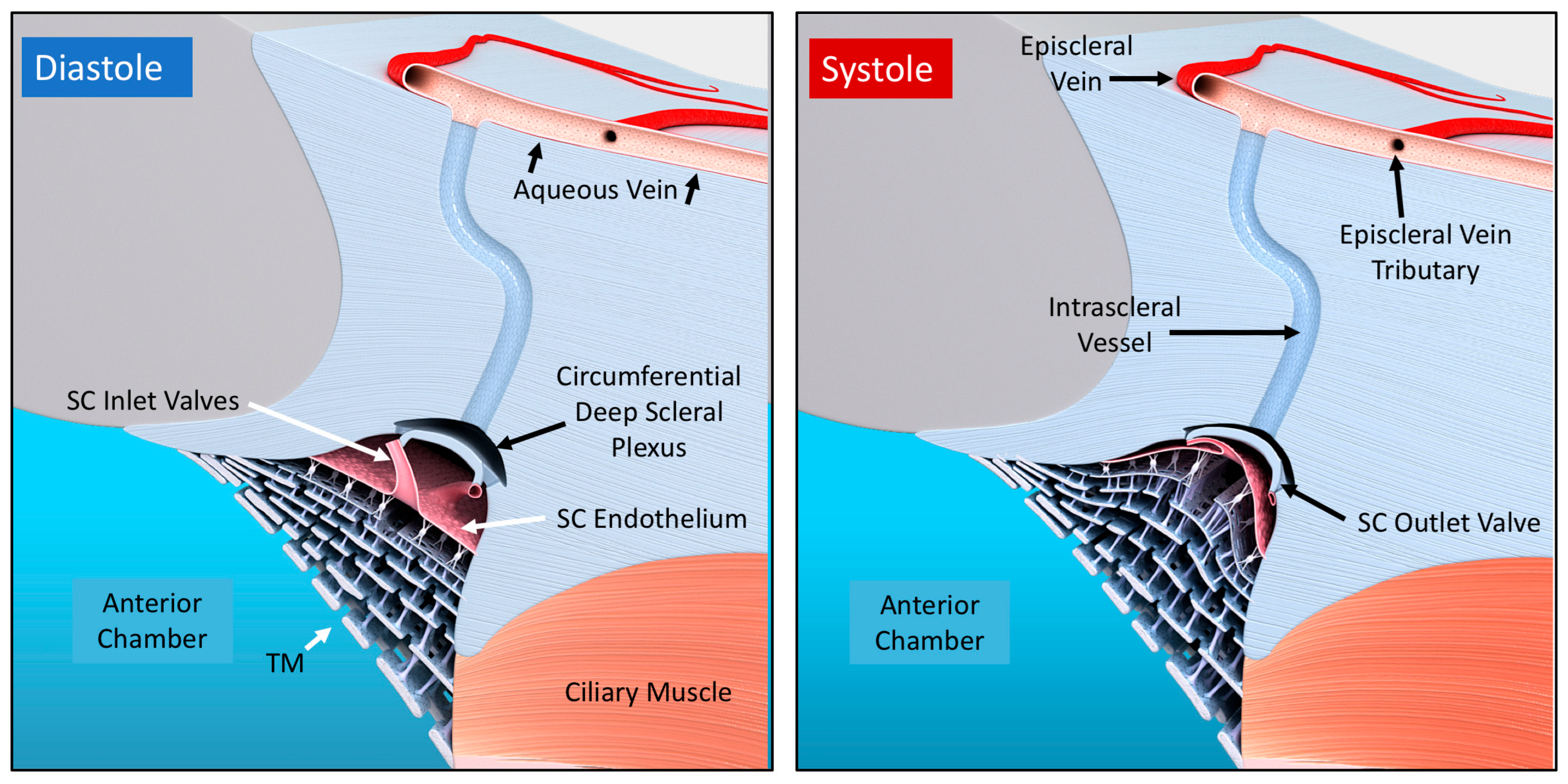 Jcm 12 06599 g008 Jcm 12 06599 g008