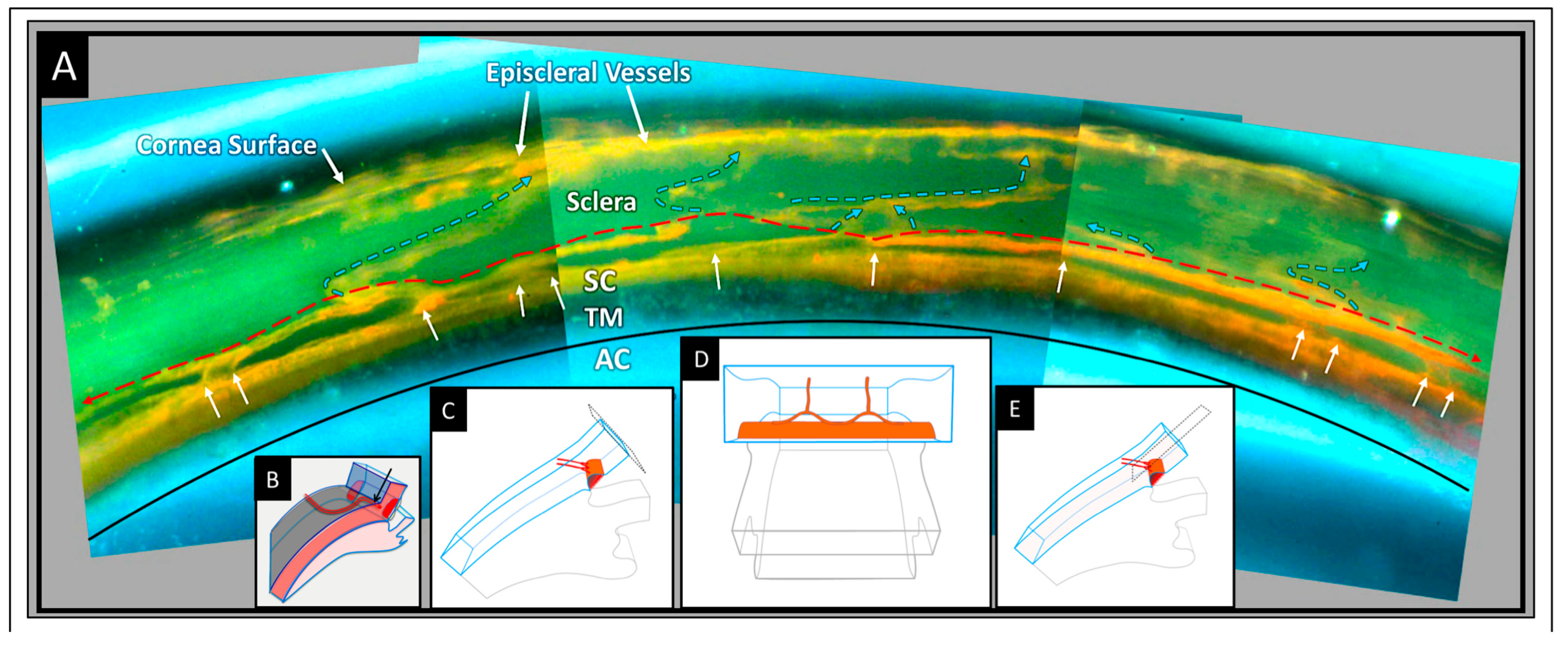 Jcm 12 06599 g009 Jcm 12 06599 g009