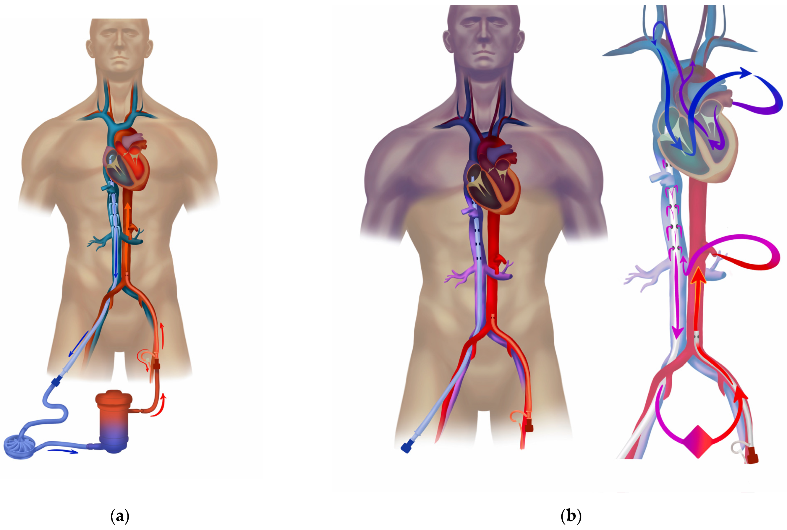 Jcm 12 06661 g001 Jcm 12 06661 g001