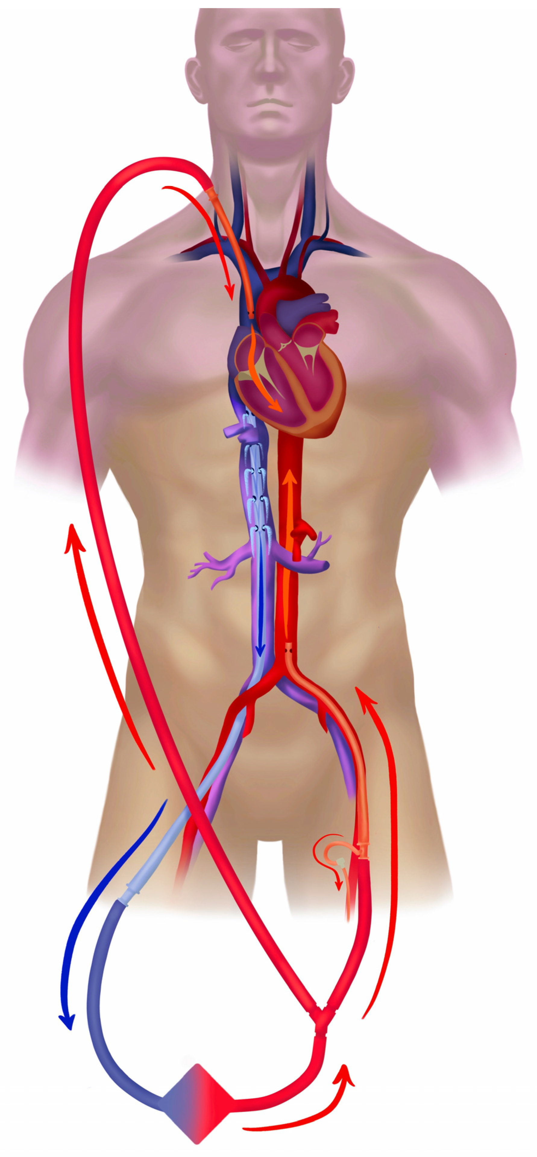 Jcm 12 06661 g002 Jcm 12 06661 g002