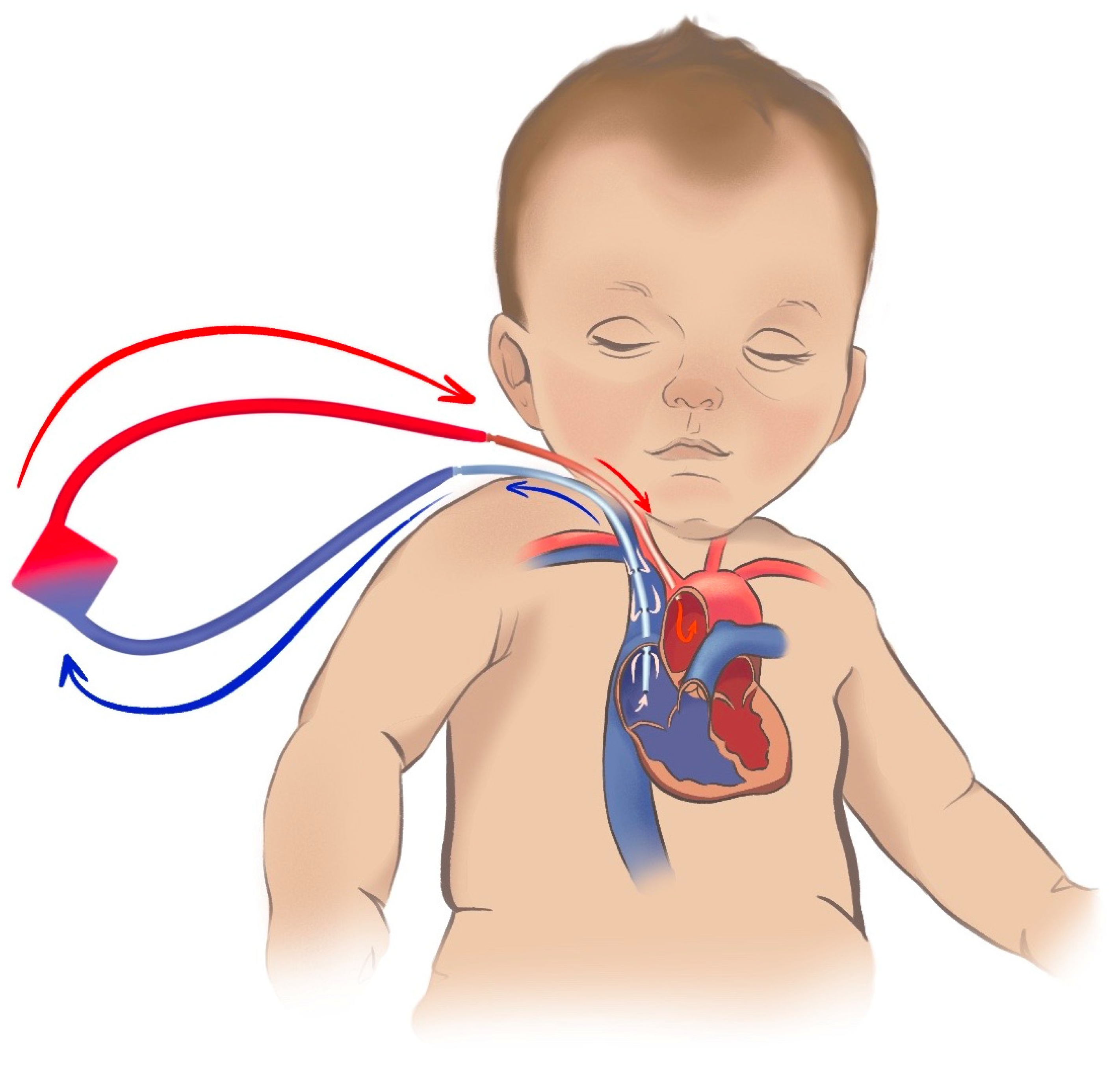 Jcm 12 06661 g004 Jcm 12 06661 g004