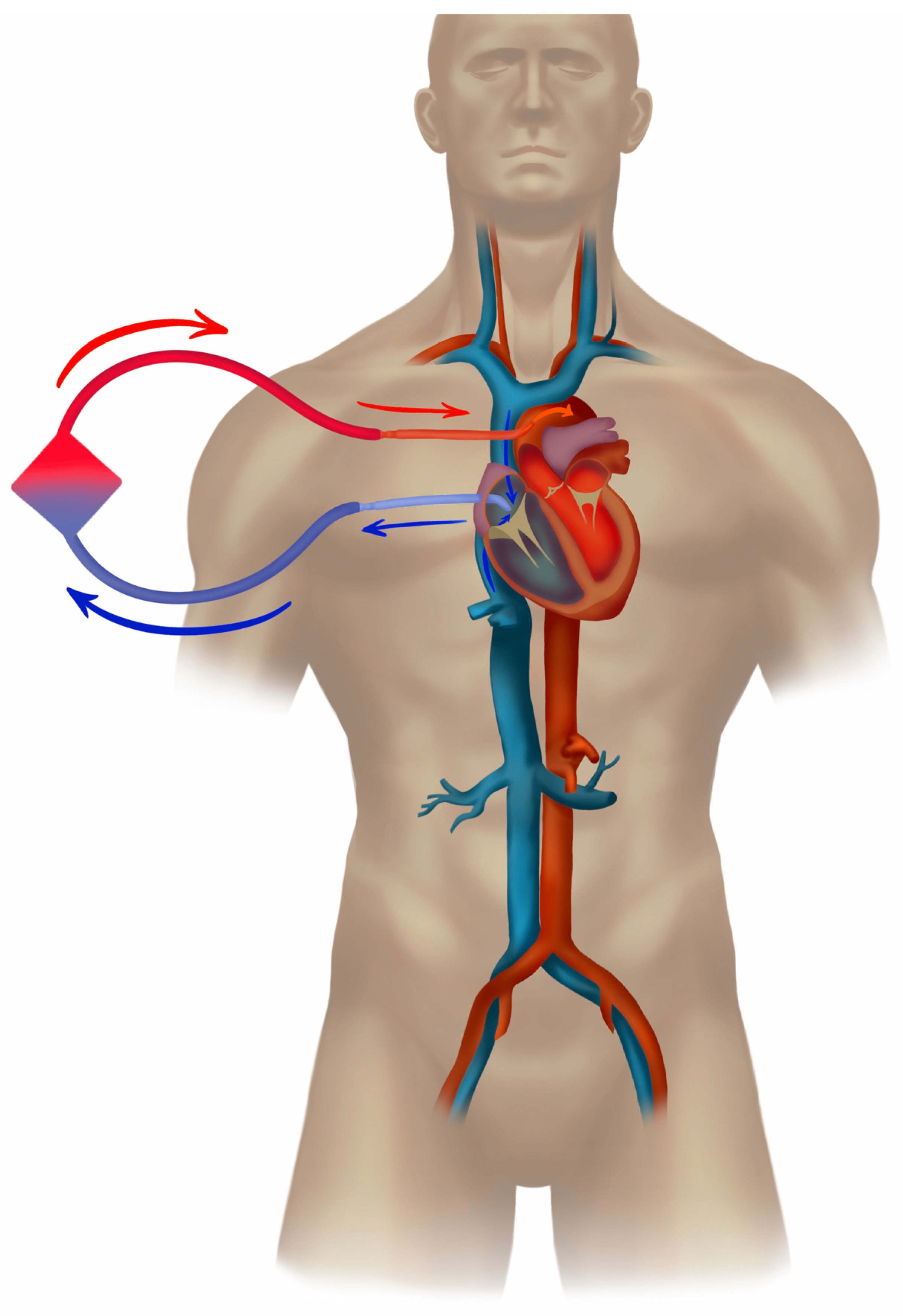 Jcm 12 06661 g005 Jcm 12 06661 g005