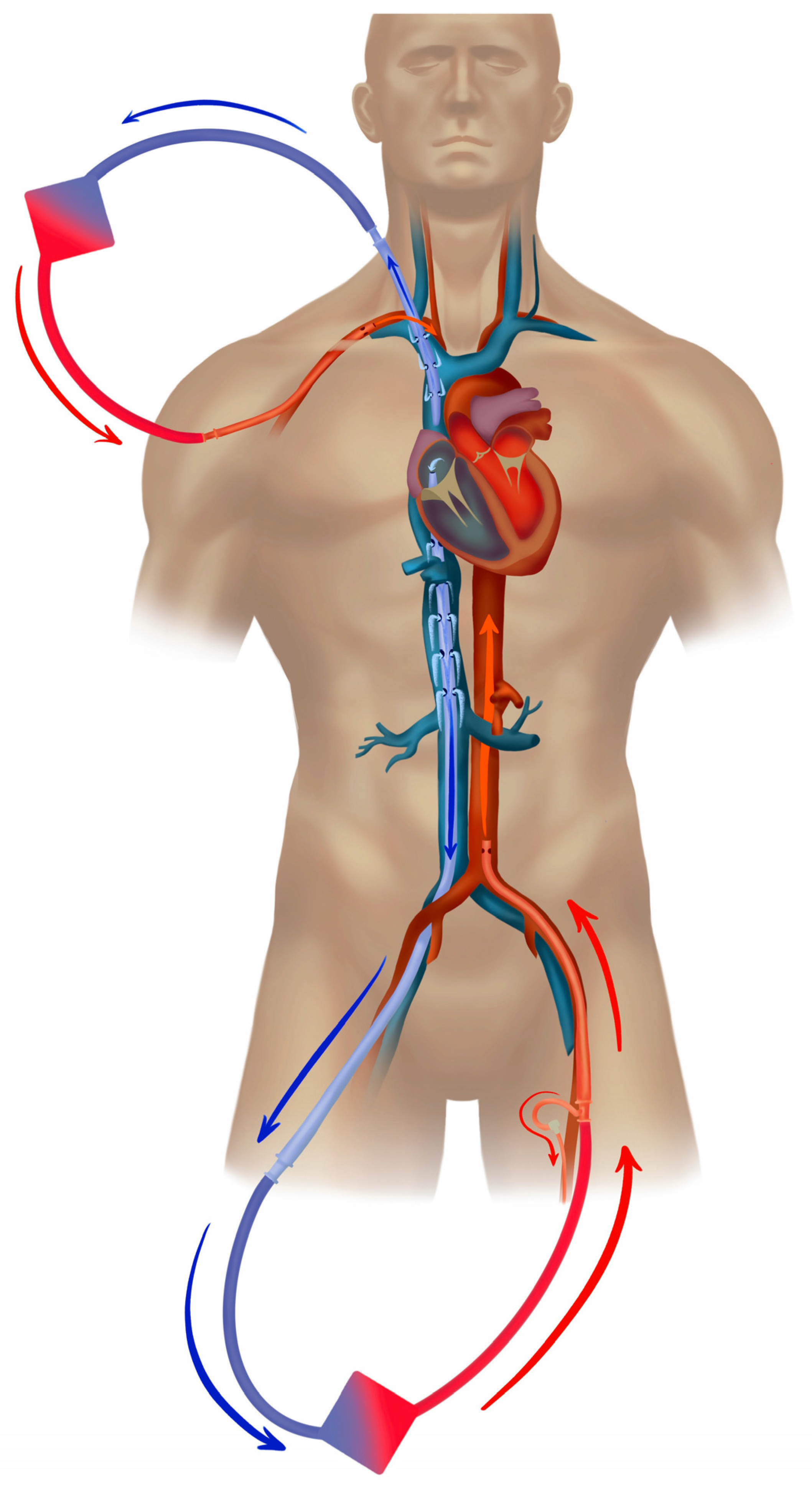 Jcm 12 06661 g006 Jcm 12 06661 g006