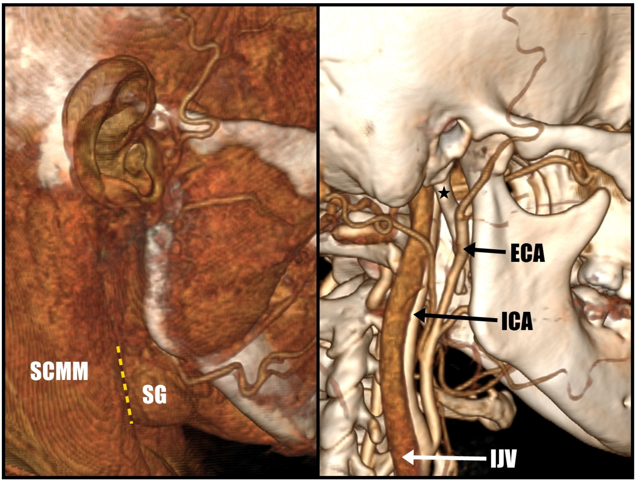 Jcm 12 06763 g002 Jcm 12 06763 g002