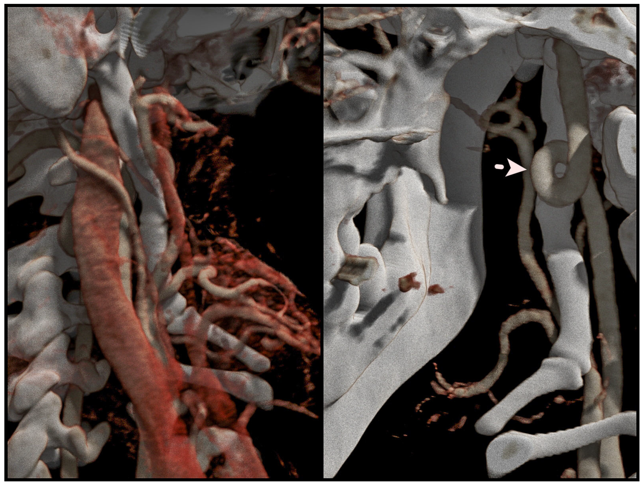 Jcm 12 06763 g010 Jcm 12 06763 g010