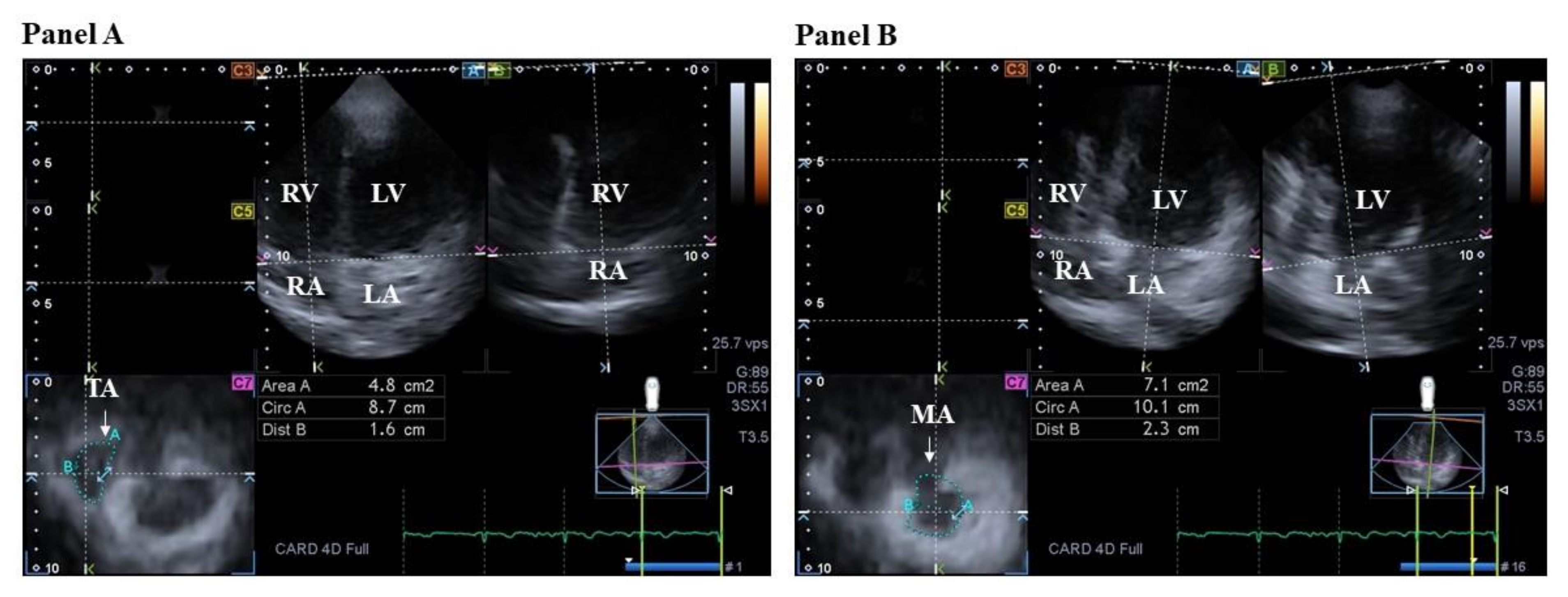 Jcm 12 06857 g003 Jcm 12 06857 g003