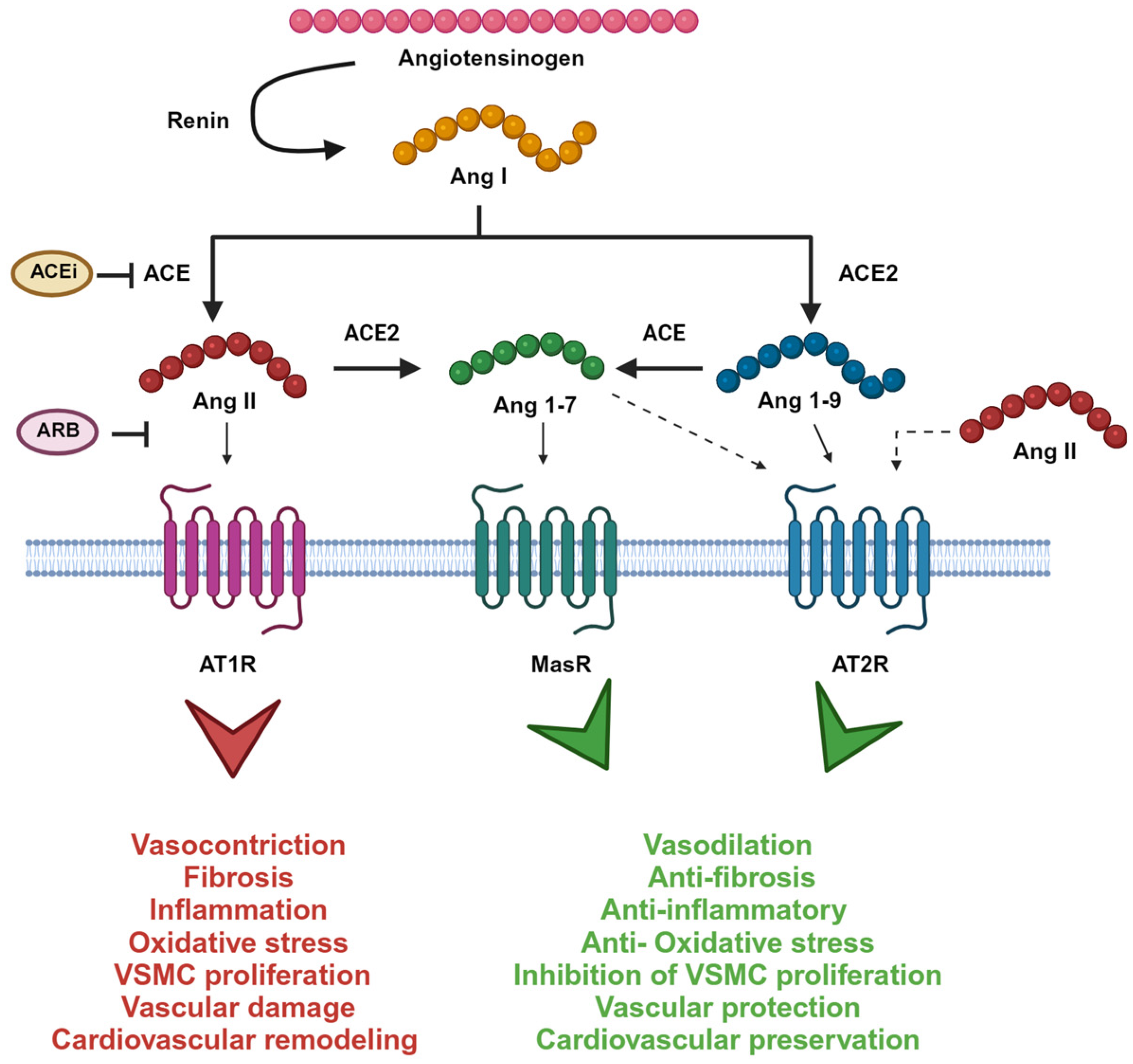 Jcm 12 06873 g001 Jcm 12 06873 g001
