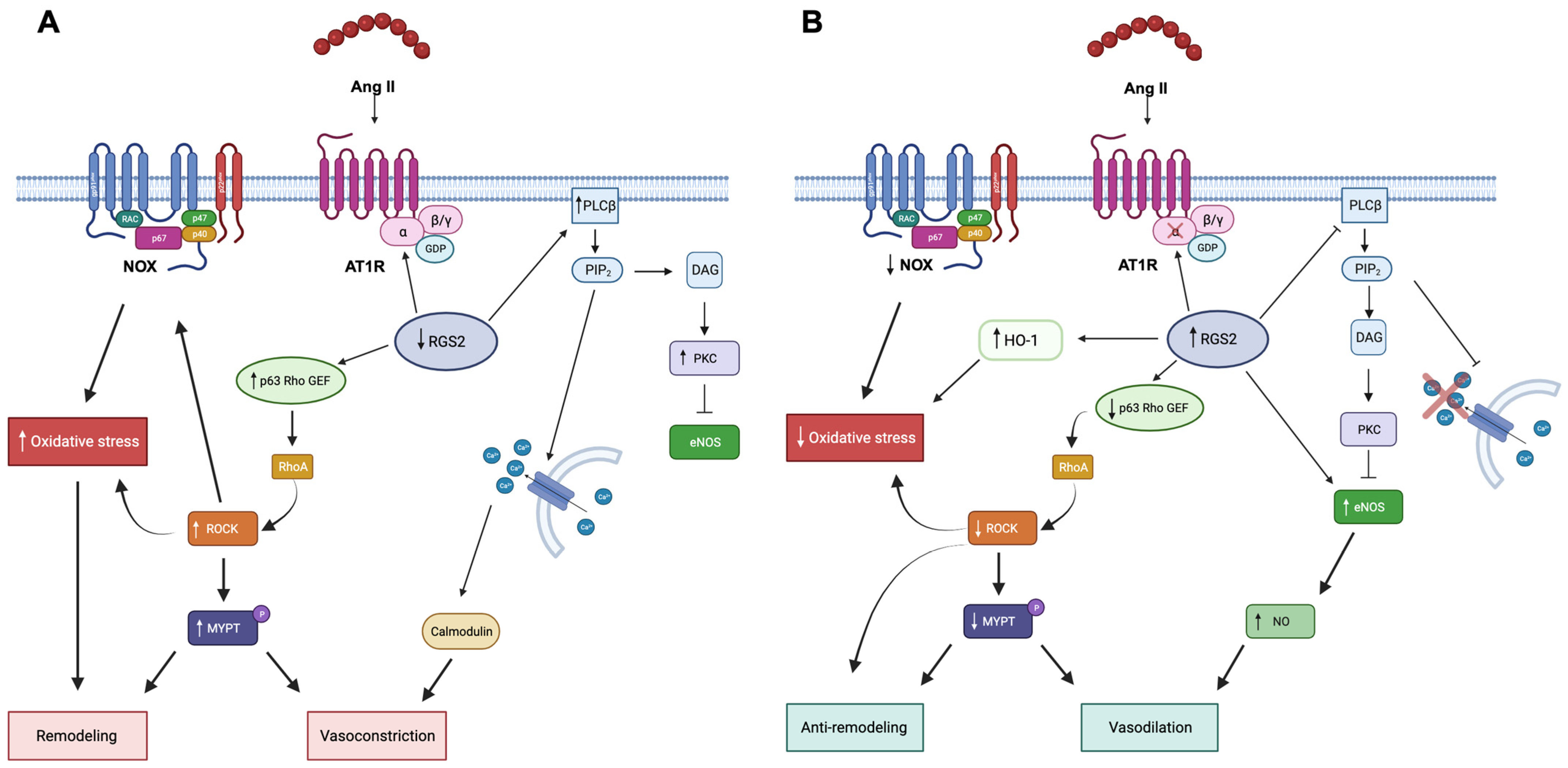 Jcm 12 06873 g002 Jcm 12 06873 g002