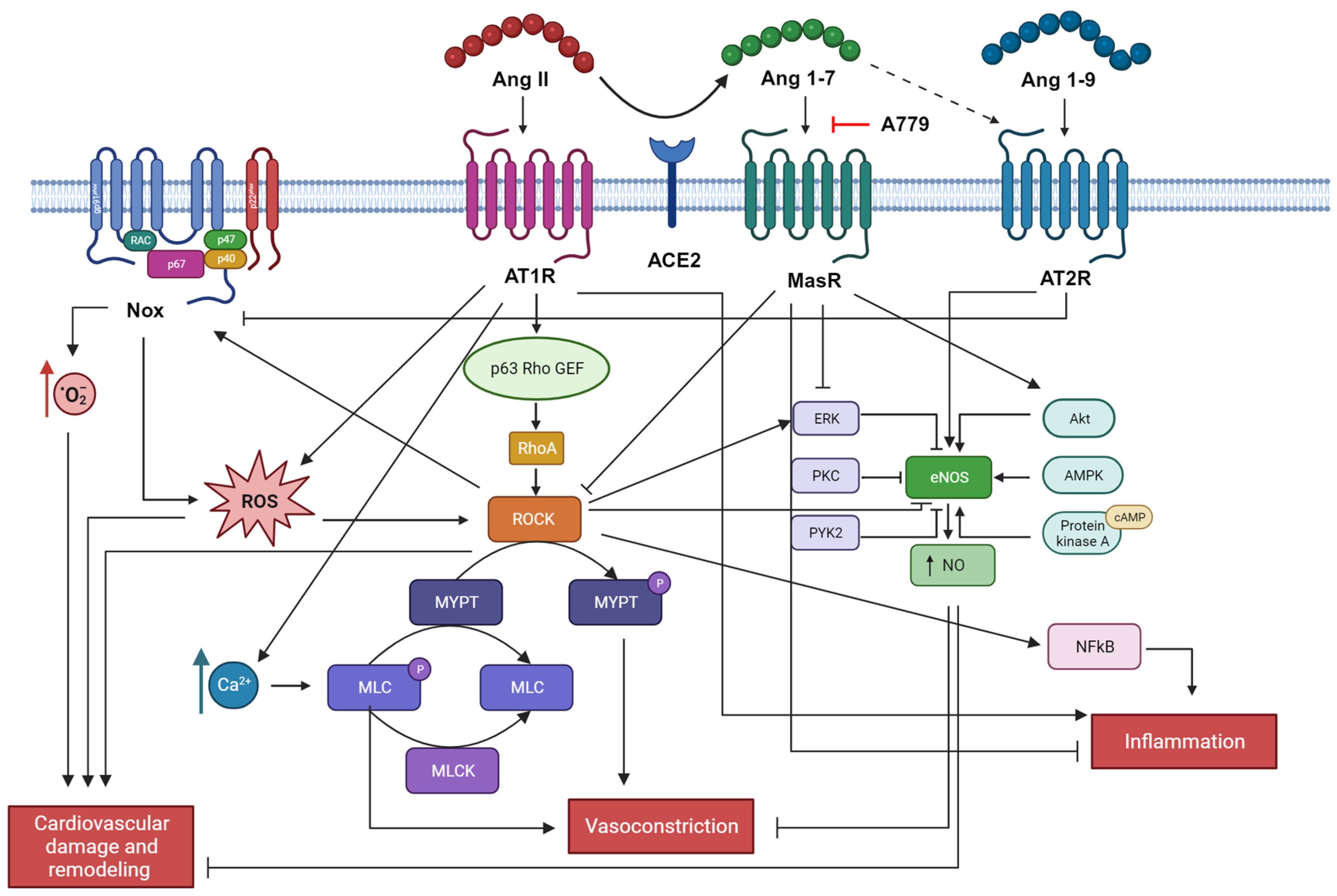 Jcm 12 06873 g003 Jcm 12 06873 g003