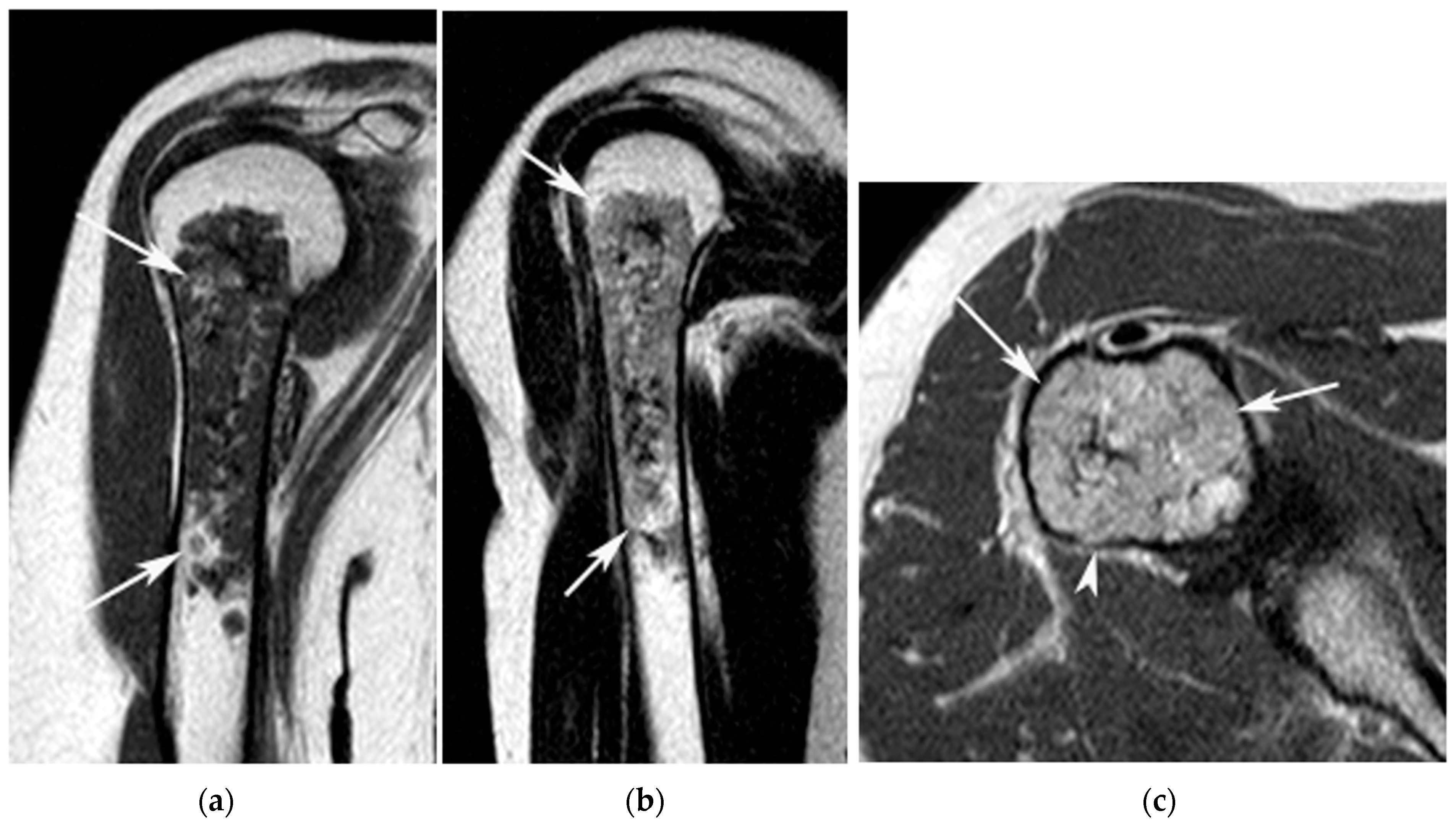 Jcm 12 06905 g001 Jcm 12 06905 g001