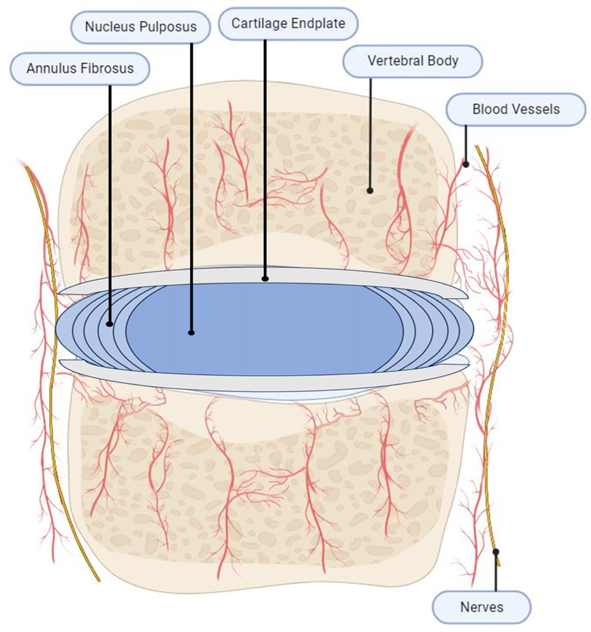 Jcm 12 06907 g001 Jcm 12 06907 g001