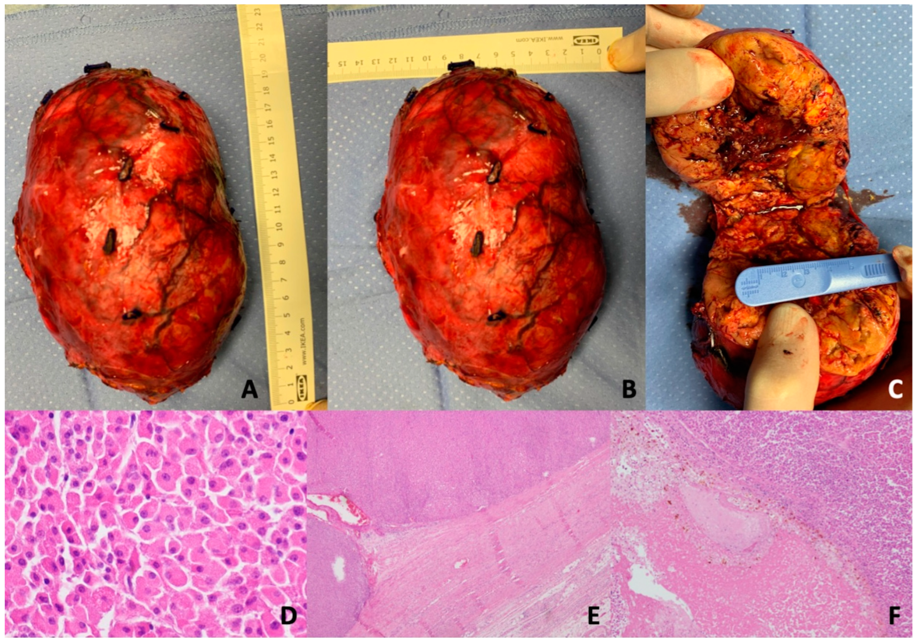Jcm 12 06925 g002 Jcm 12 06925 g002