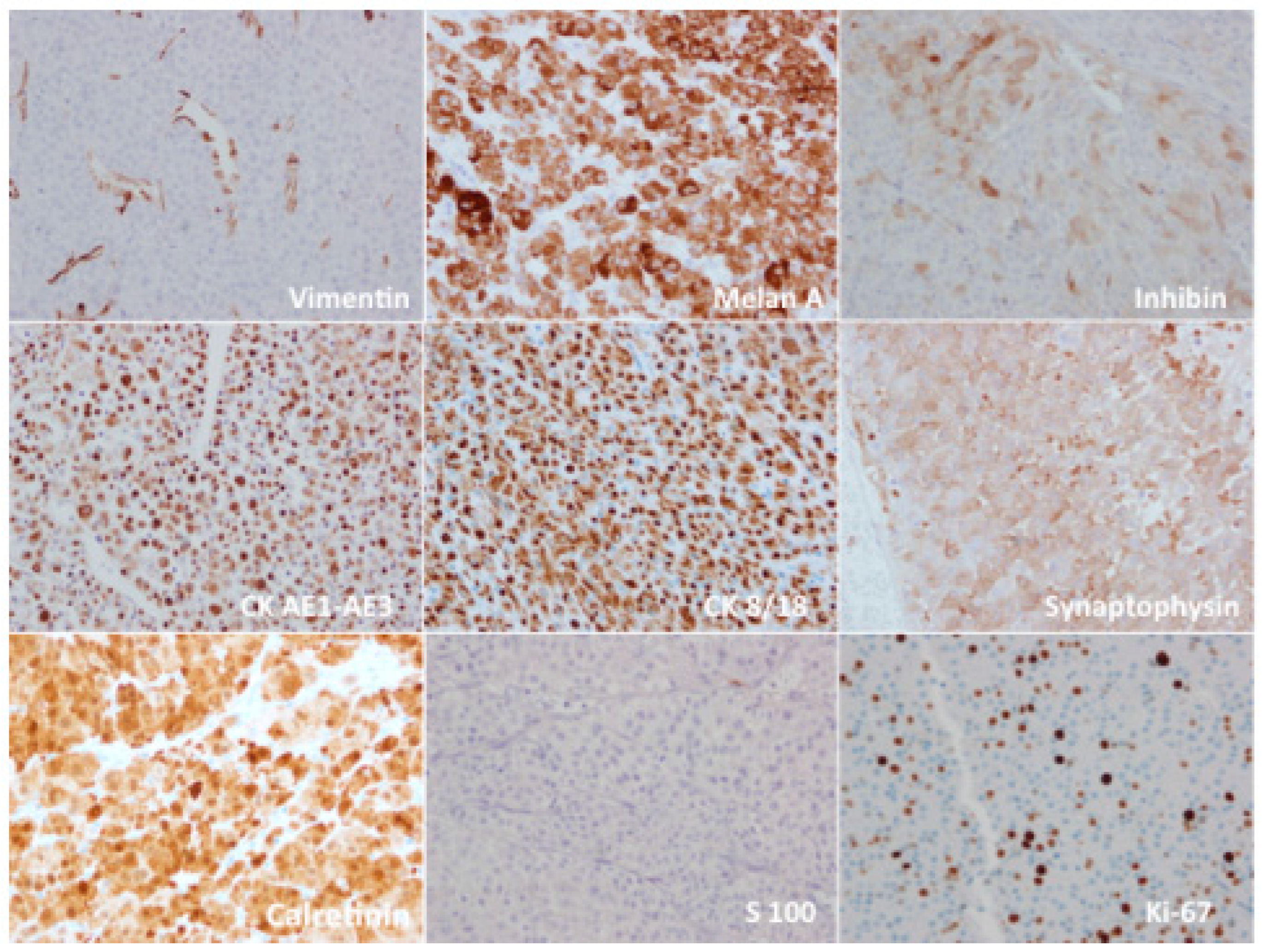 Jcm 12 06925 g003 Jcm 12 06925 g003