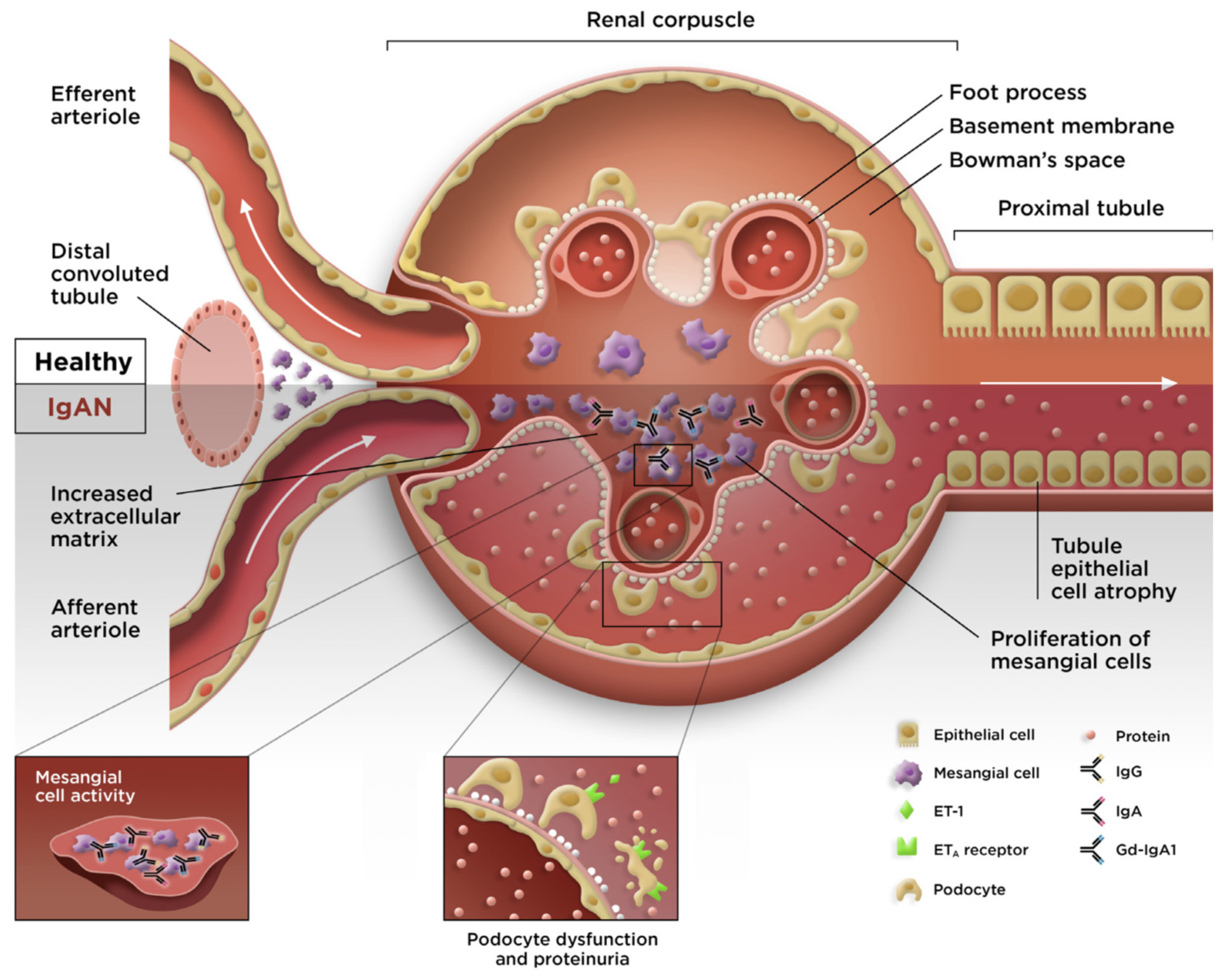 Jcm 12 06927 g003 Jcm 12 06927 g003