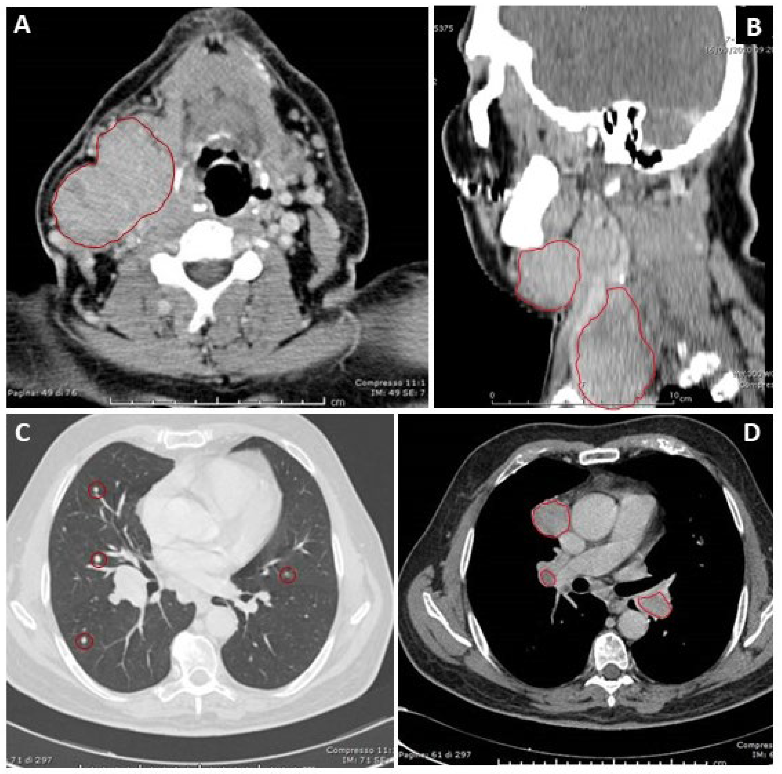 Jcm 12 06970 g001 Jcm 12 06970 g001
