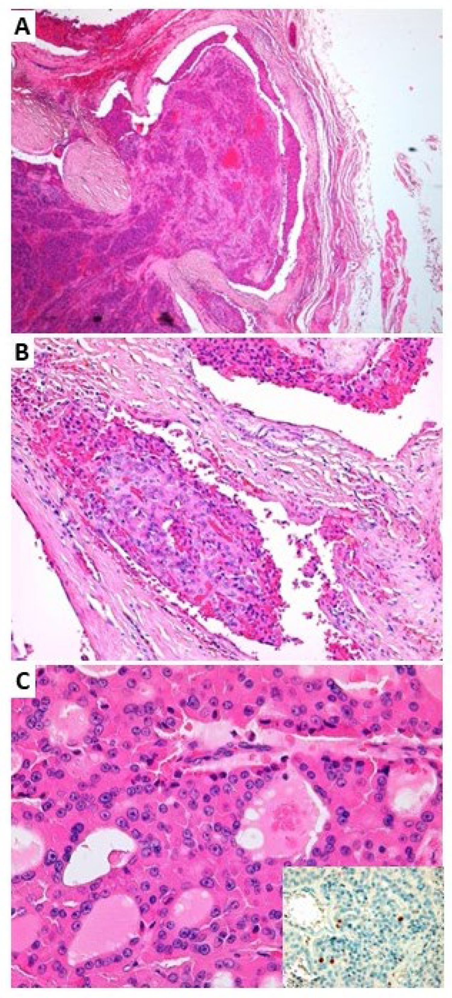 Jcm 12 06970 g003 Jcm 12 06970 g003