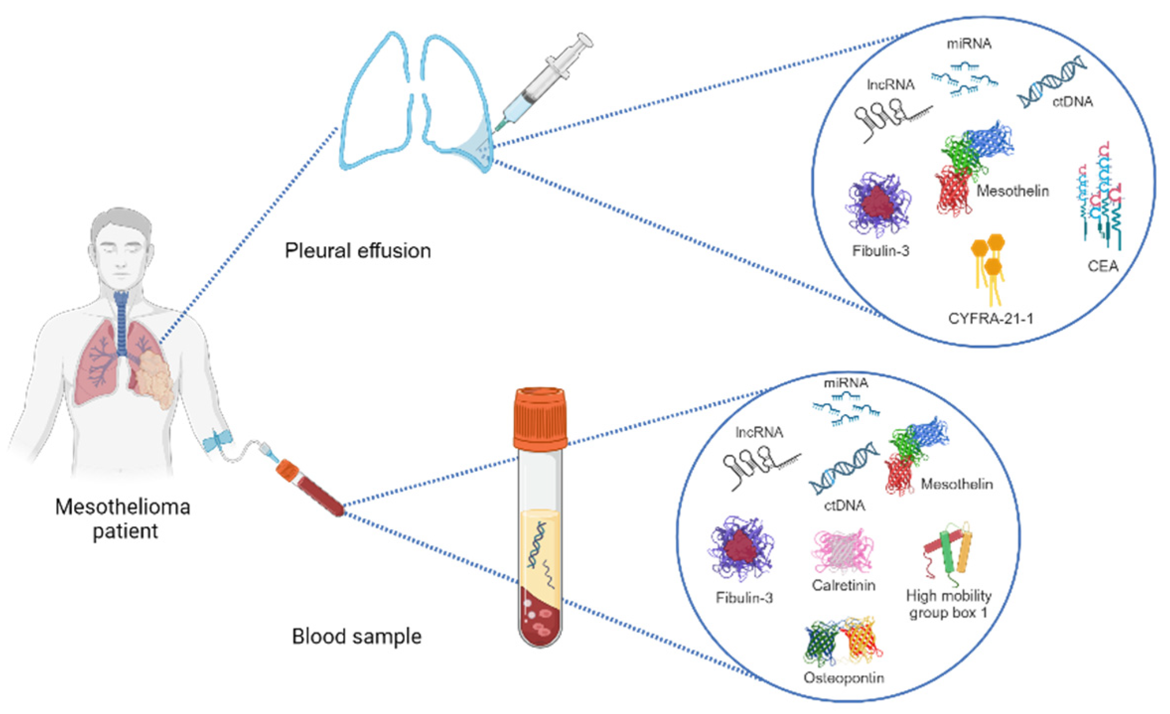 Jcm 12 07006 g001 Jcm 12 07006 g001