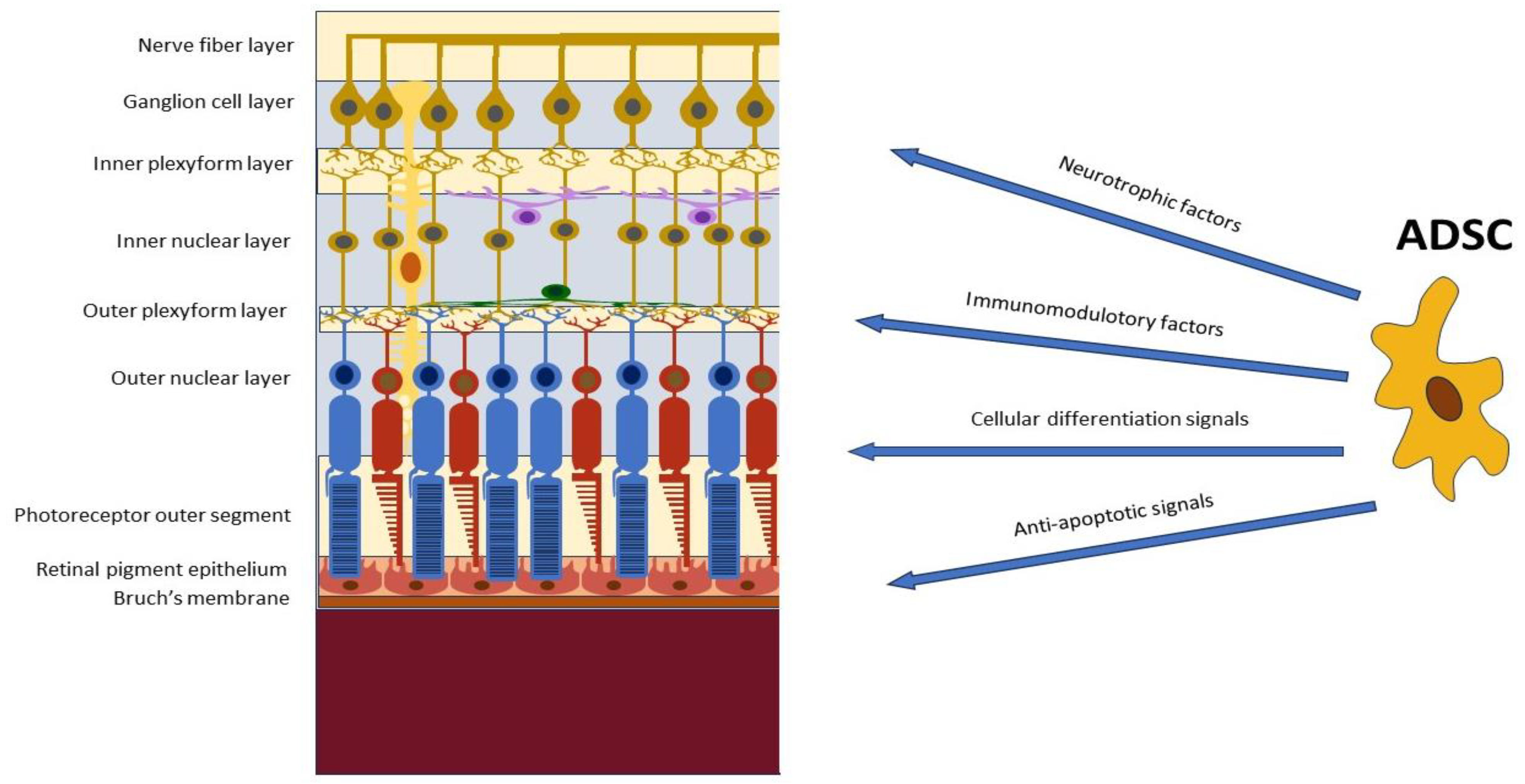 Jcm 12 07015 g001 Jcm 12 07015 g001