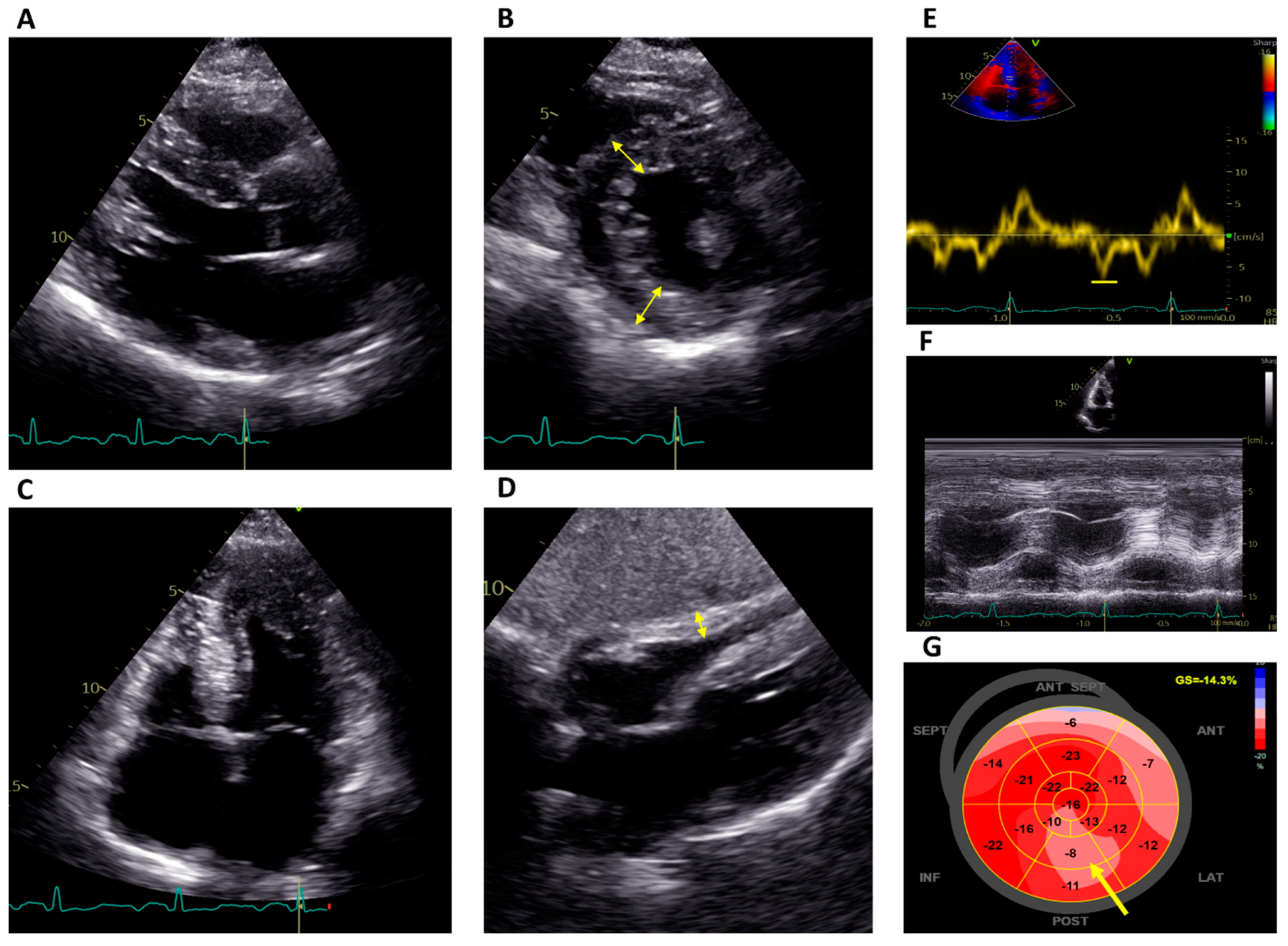 Jcm 12 07061 g001 Jcm 12 07061 g001