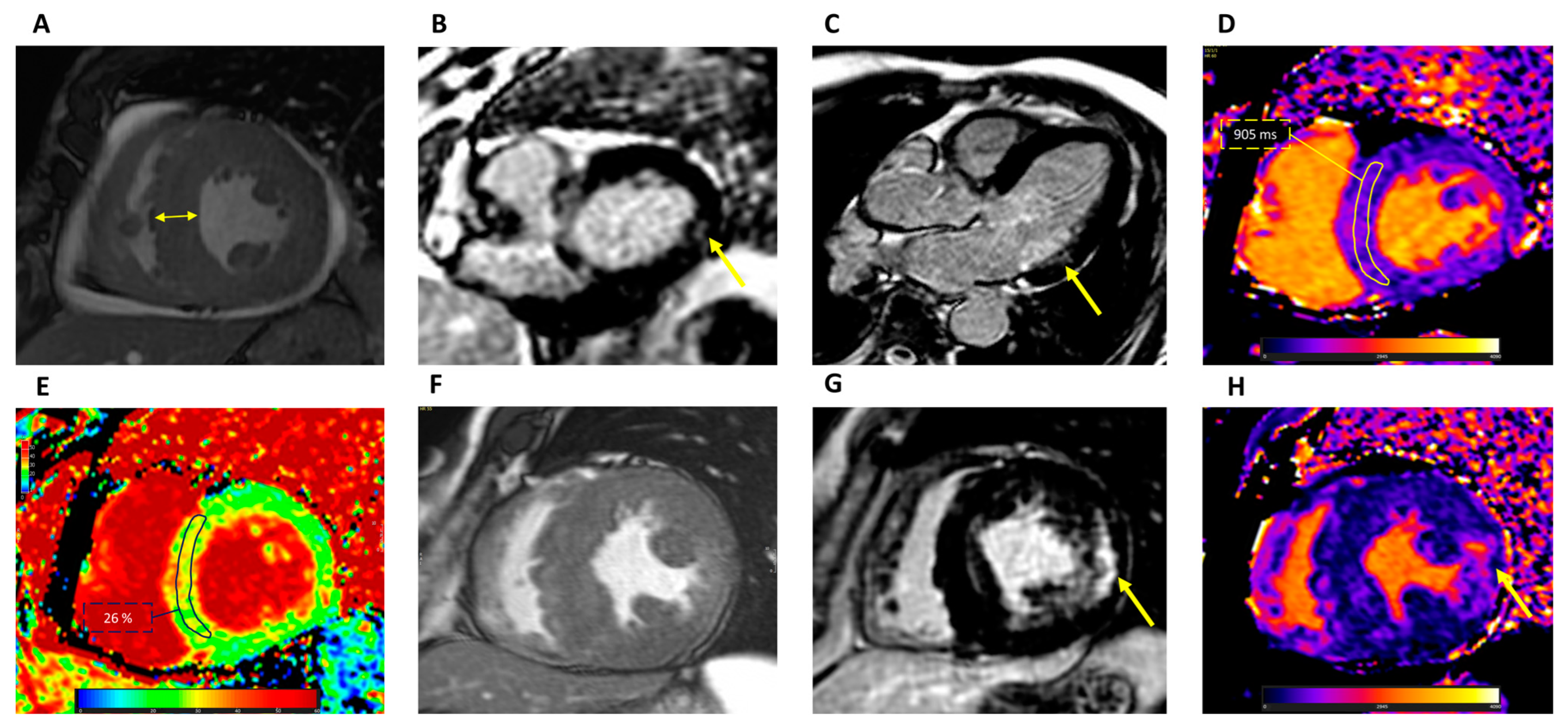 Jcm 12 07061 g002 Jcm 12 07061 g002