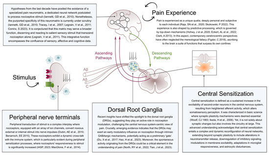 A Manifesto in Defense of Pain Complexity: A Critical Review of 