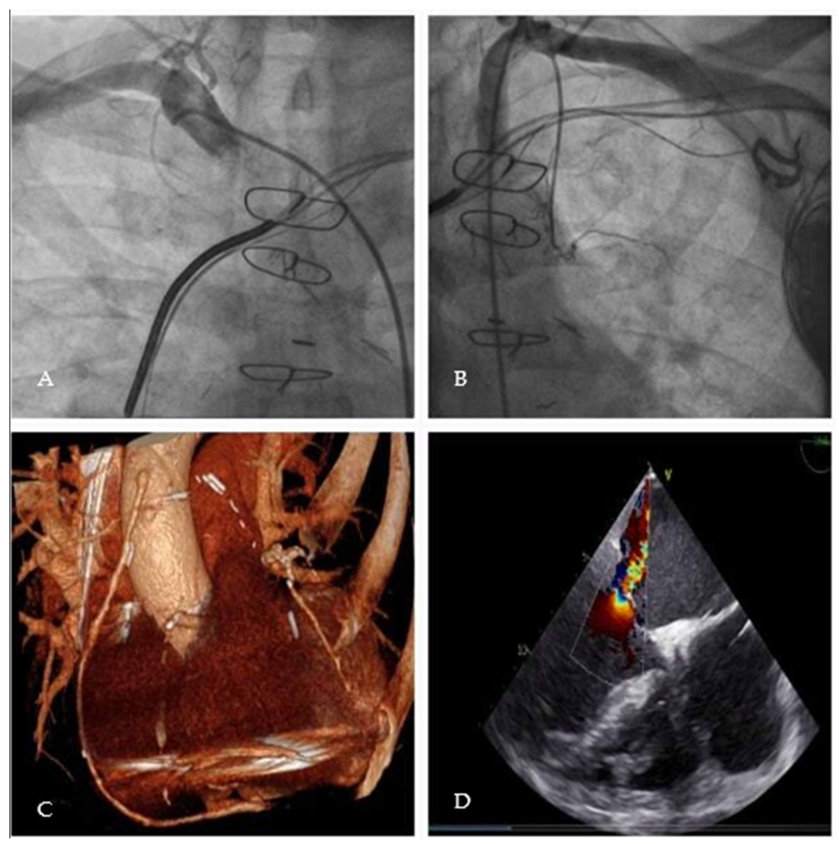 Jcm 12 07096 g001 Jcm 12 07096 g001