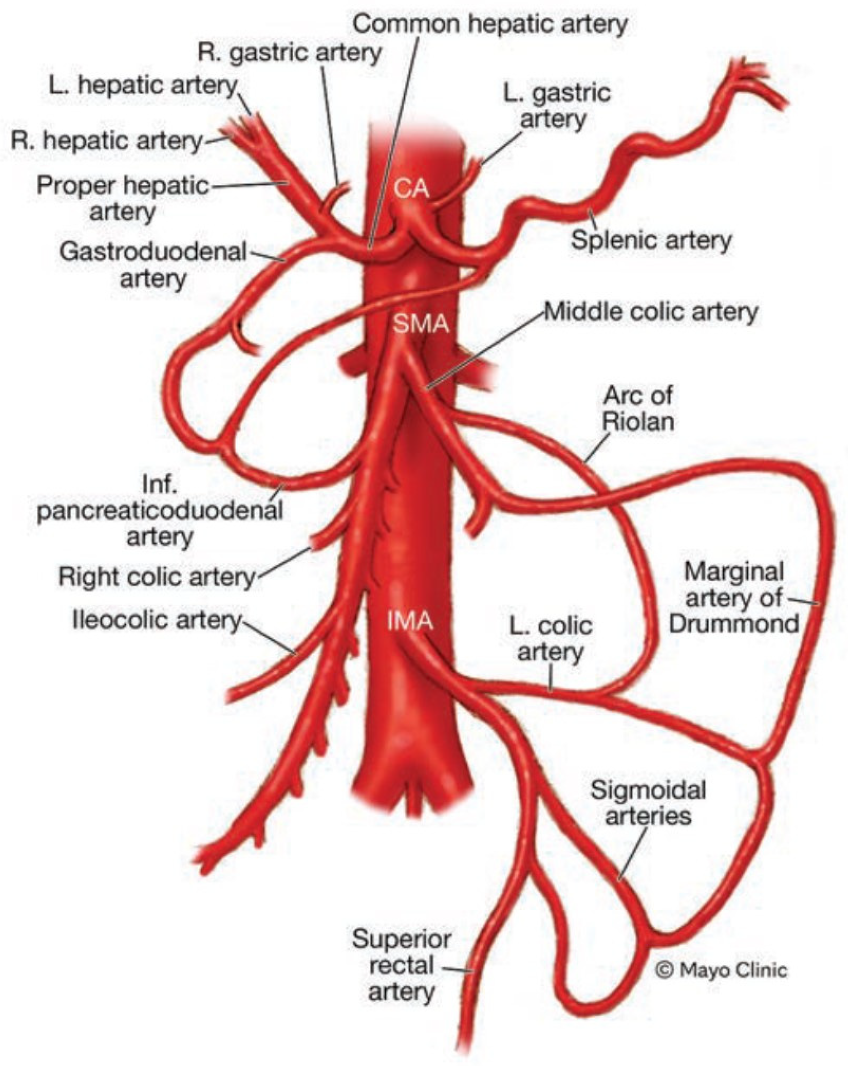 Jcm 12 07112 g001 Jcm 12 07112 g001
