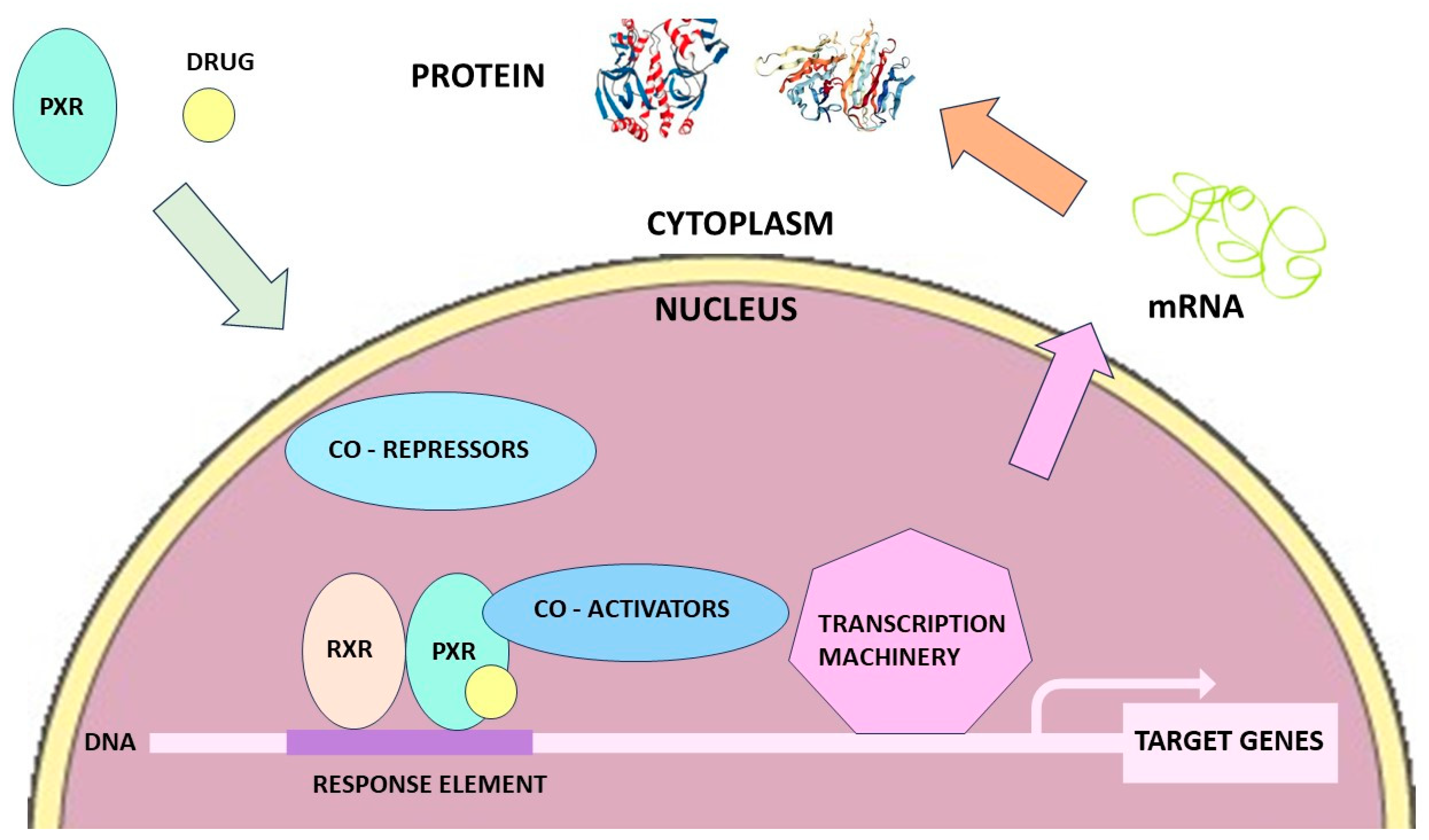Jcm 12 07120 g001 Jcm 12 07120 g001