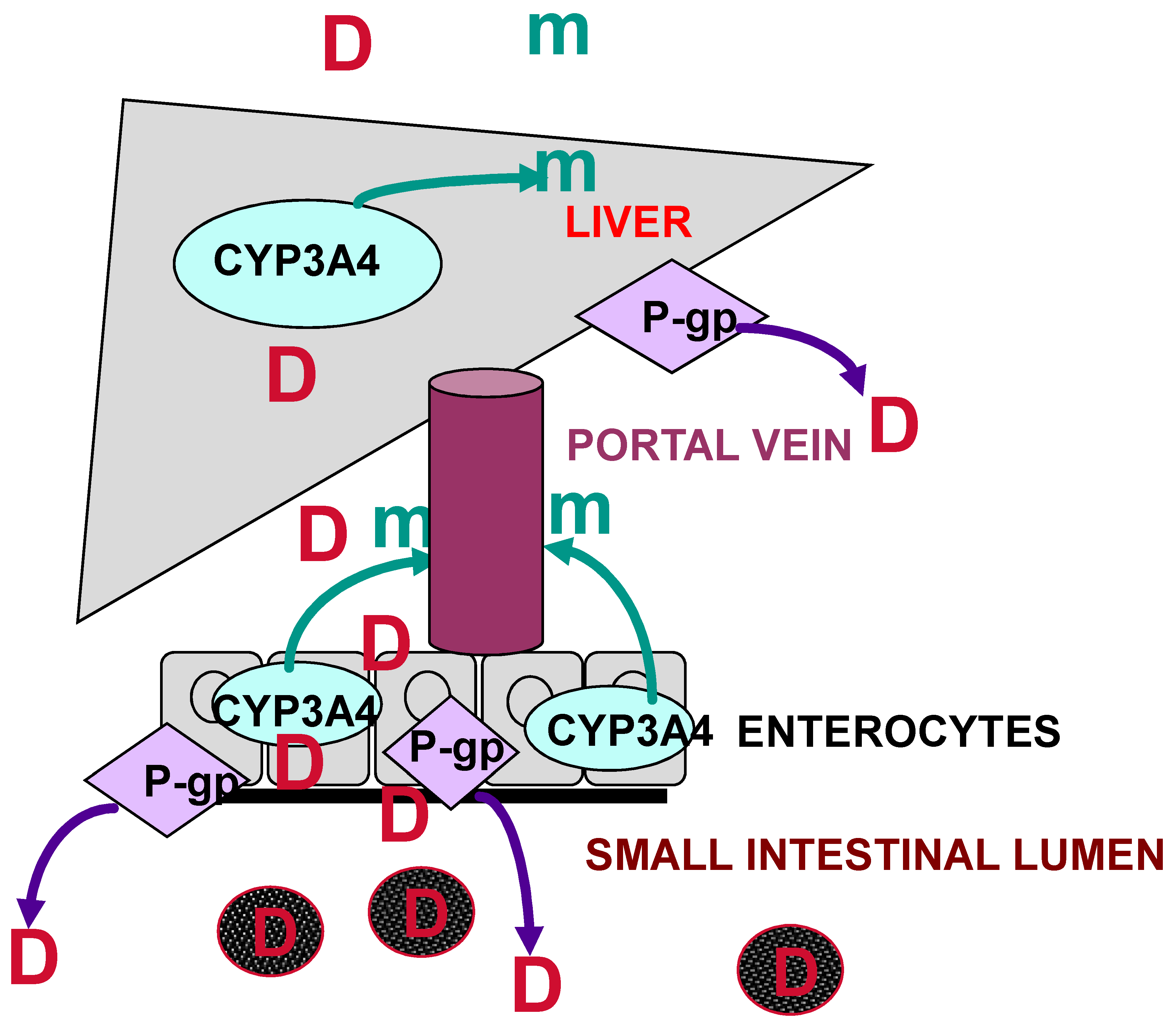 JCM Free FullText DrugDrug Interactions Involving Dexamethasone