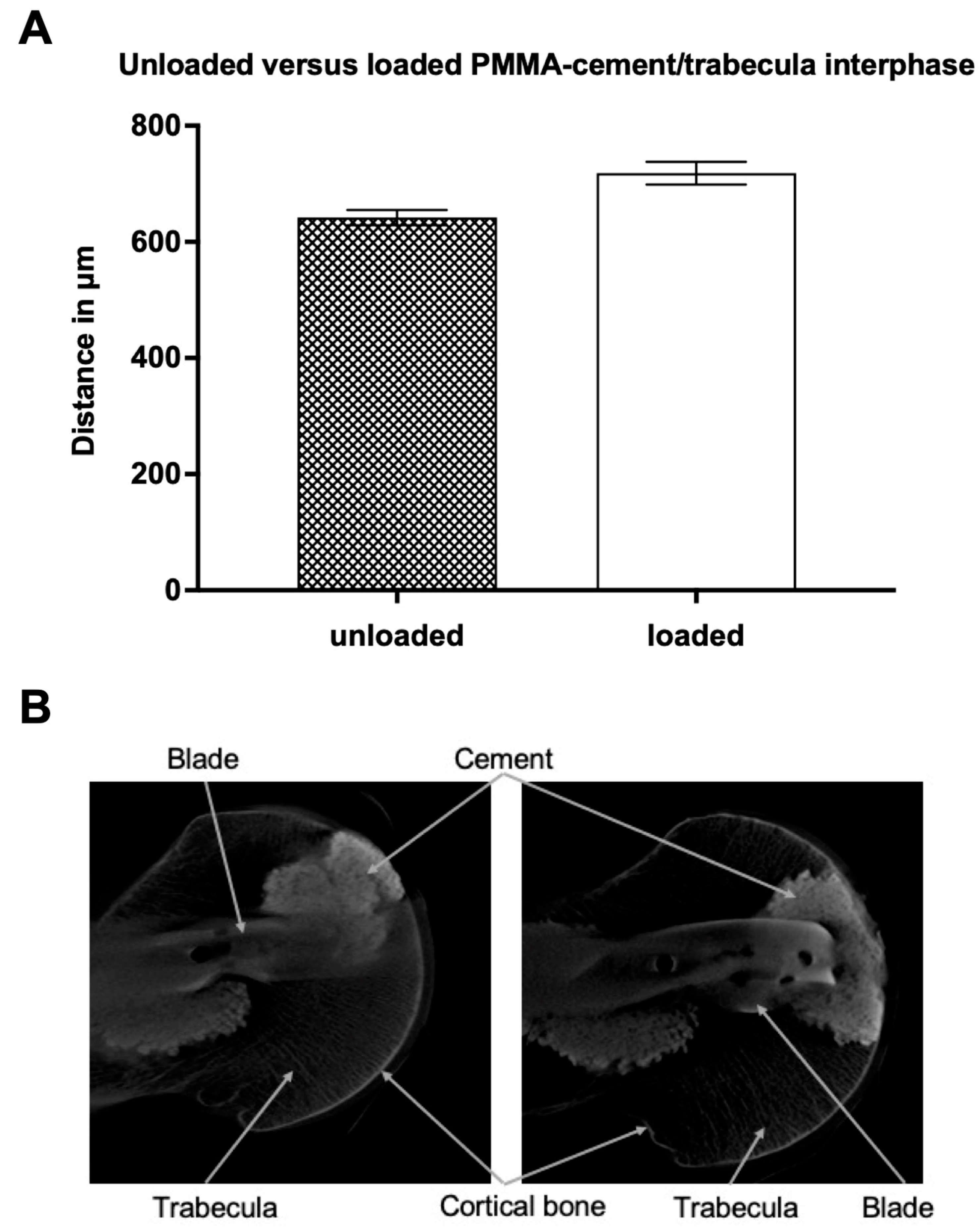 Jcm 12 07202 g002 Jcm 12 07202 g002