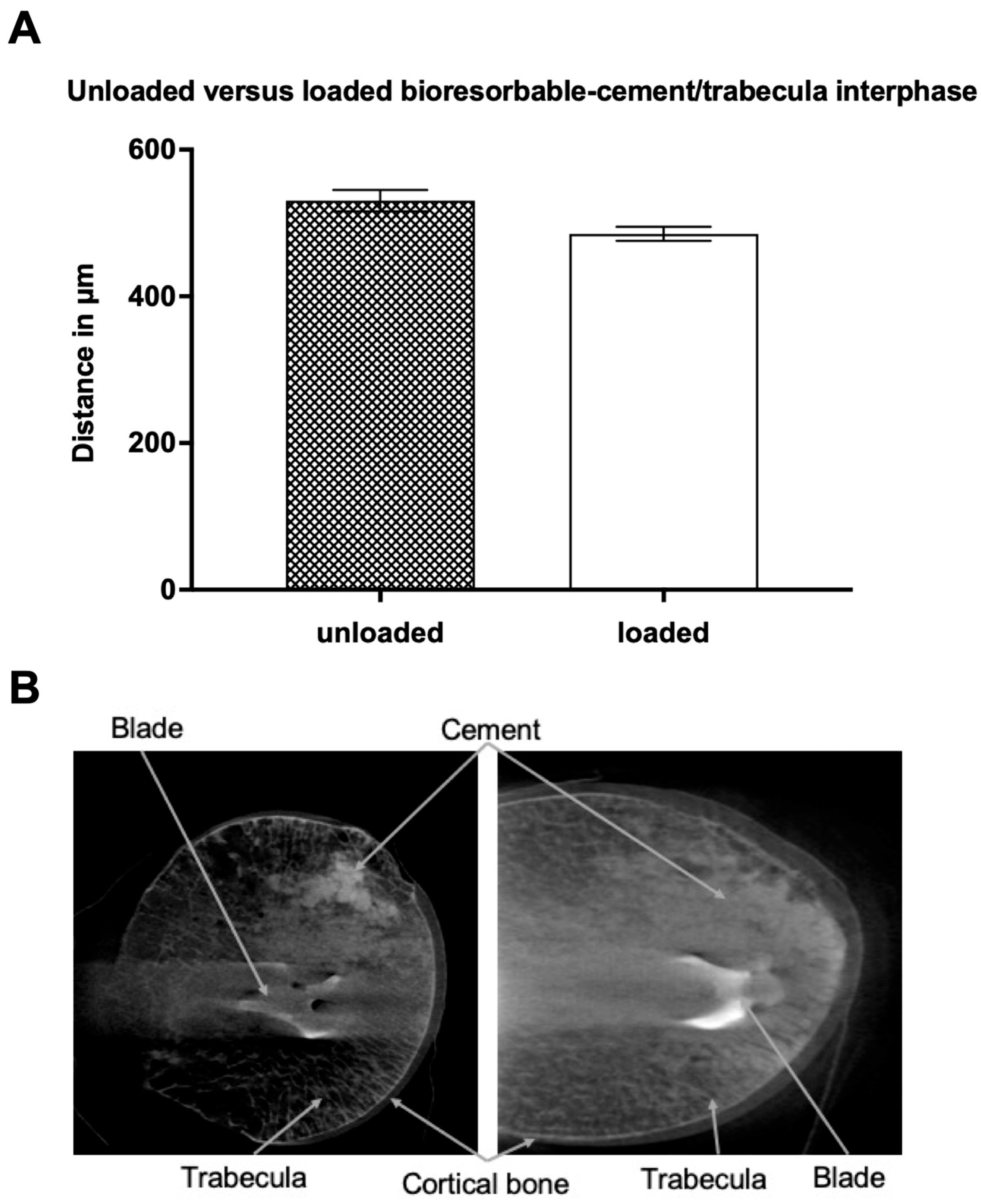 Jcm 12 07202 g003 Jcm 12 07202 g003