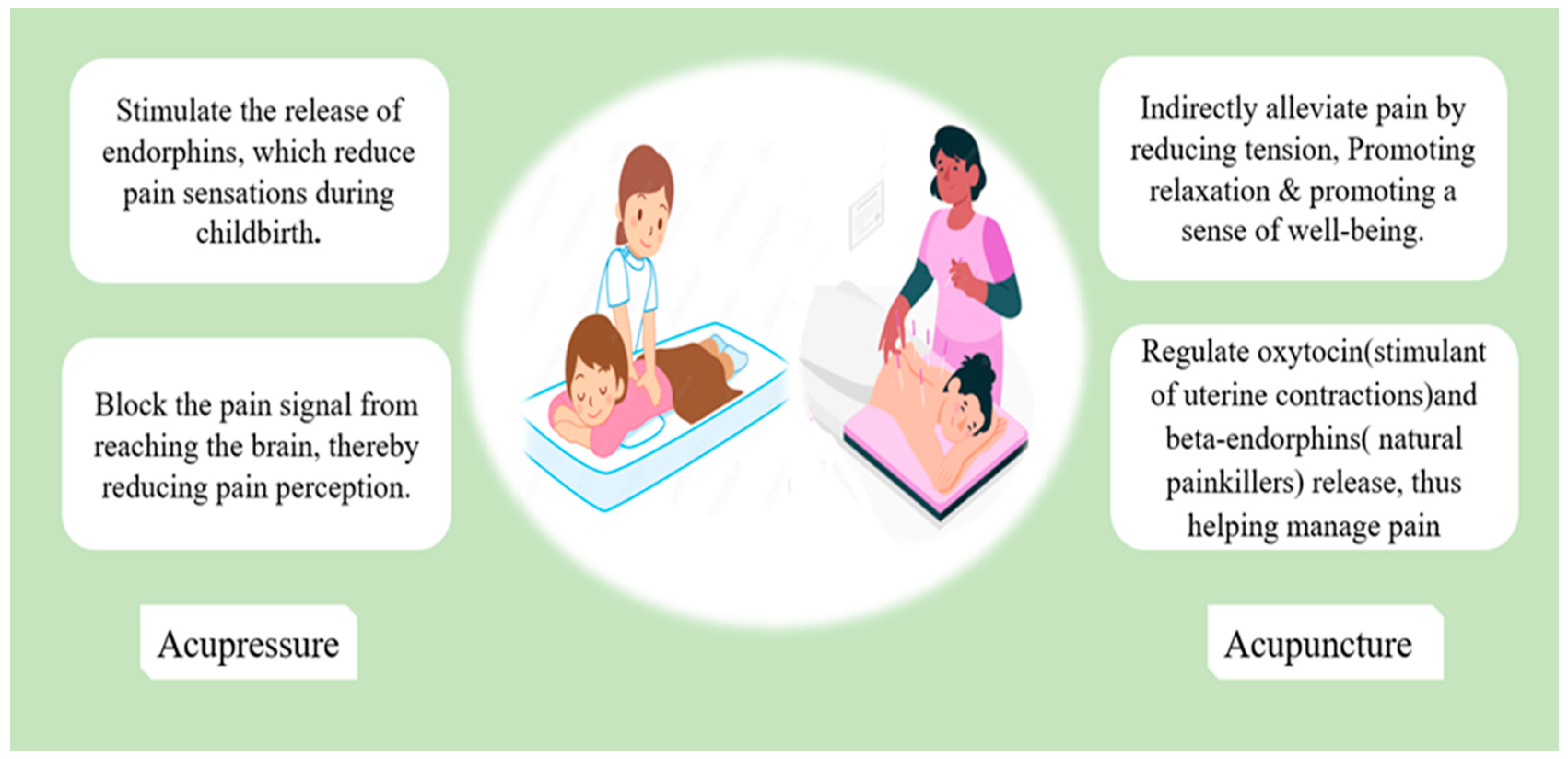 JCM Free FullText NonPharmacological Pain Management in Labor A
