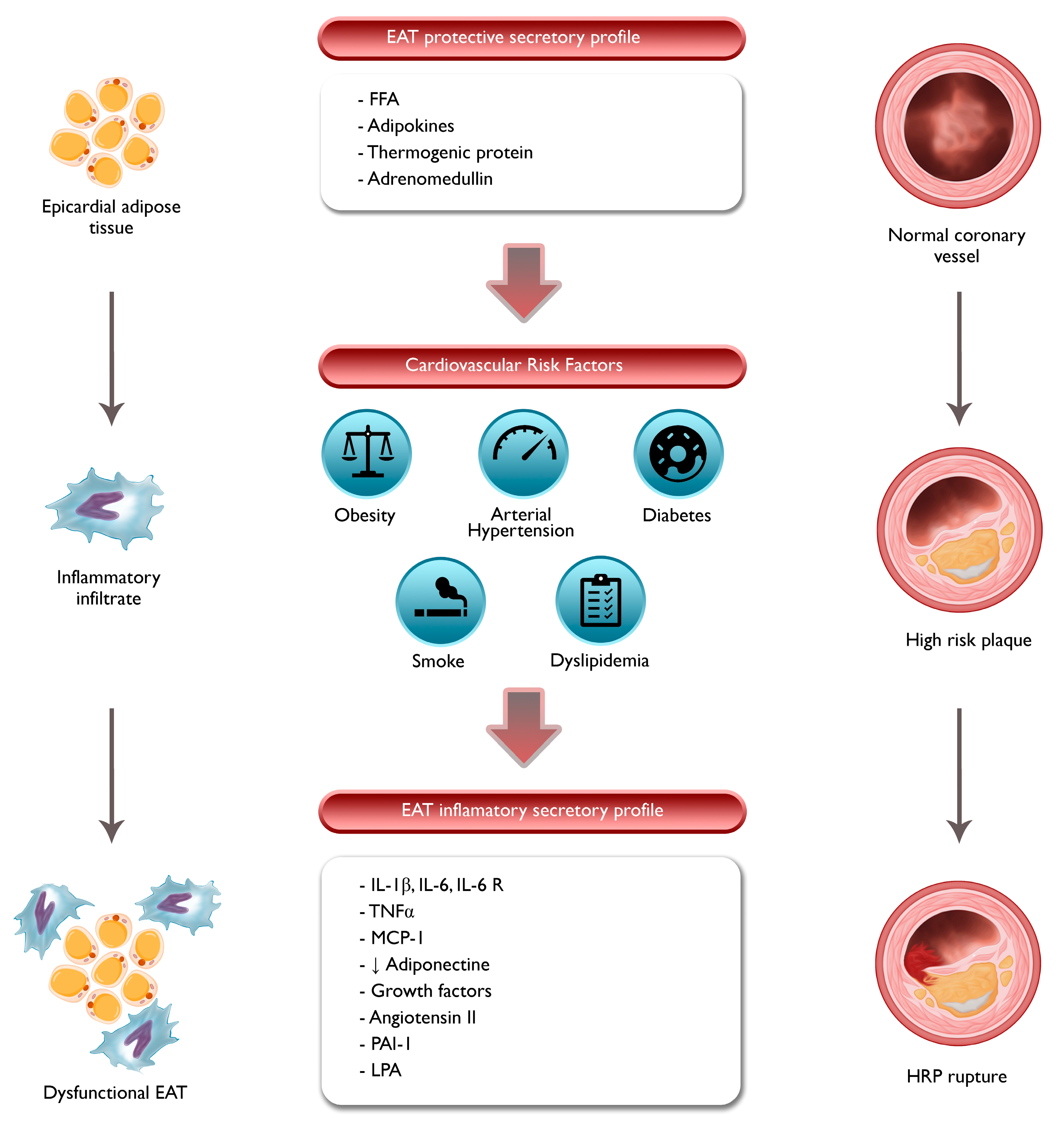 Jcm 12 07212 g003 Jcm 12 07212 g003
