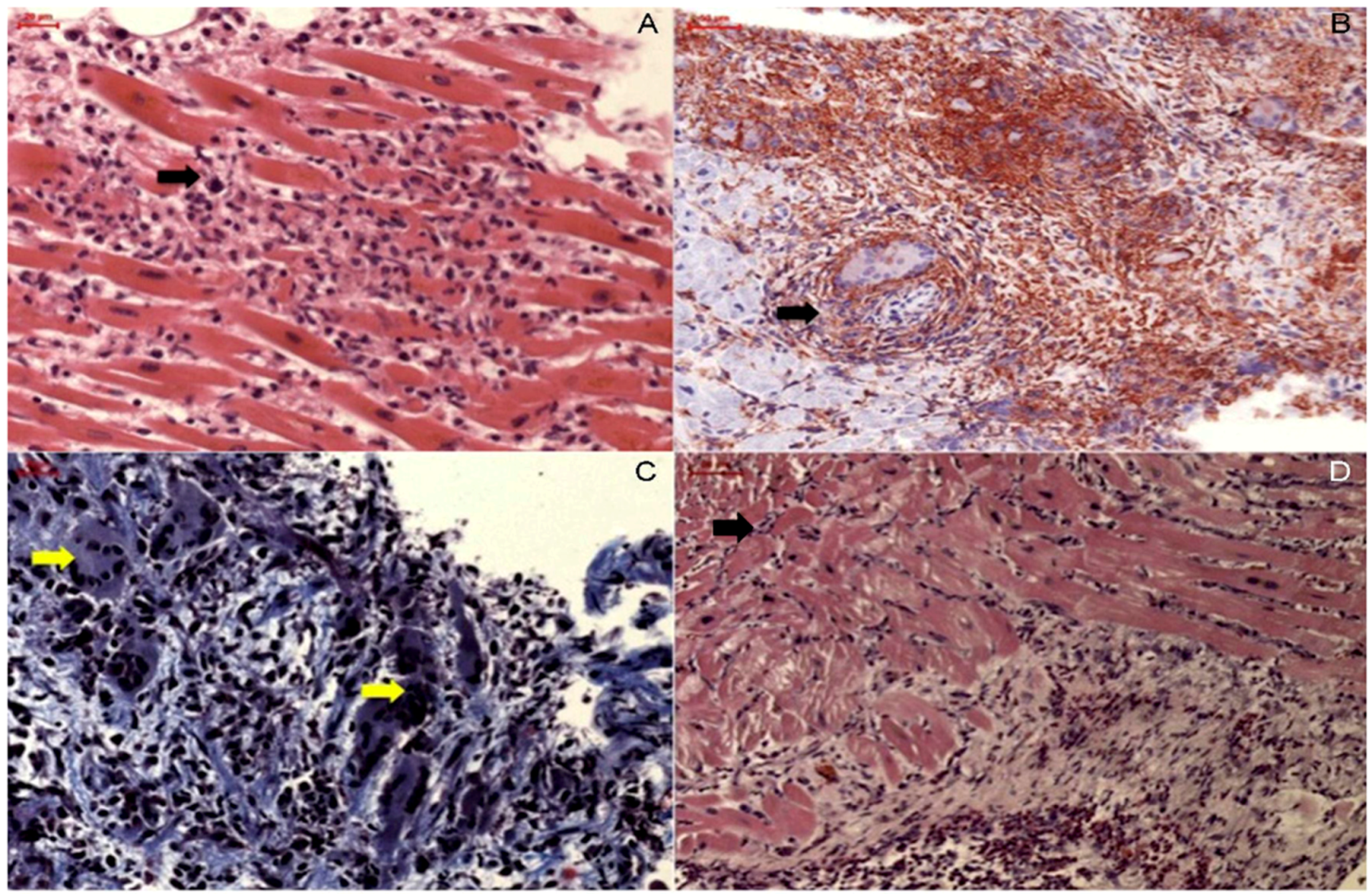 Jcm 12 07214 g002 Jcm 12 07214 g002