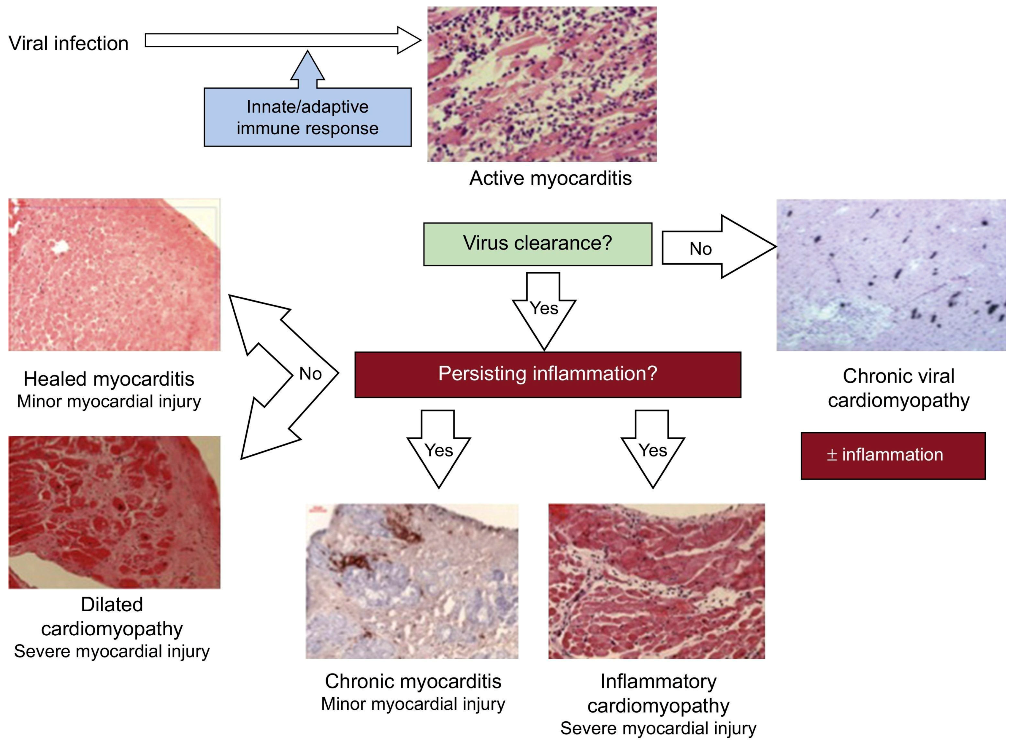 Jcm 12 07214 g004 Jcm 12 07214 g004