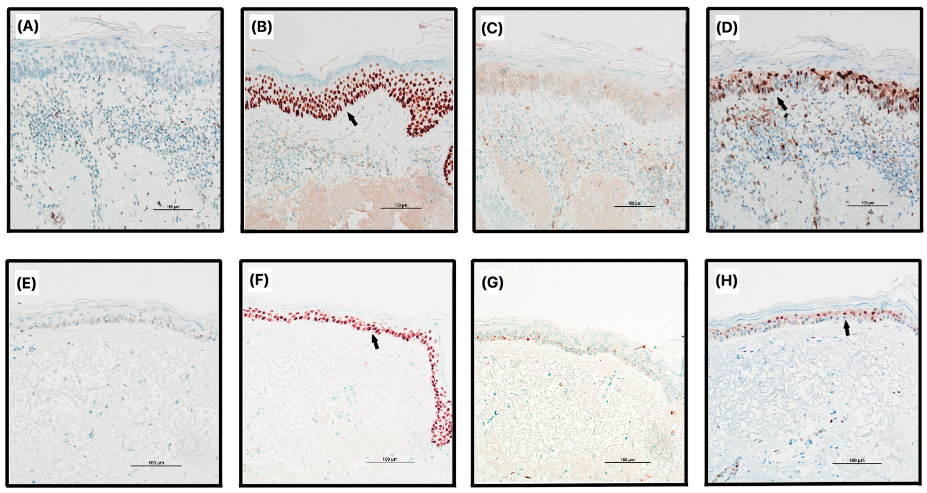 Jcm 12 07291 g001 Jcm 12 07291 g001