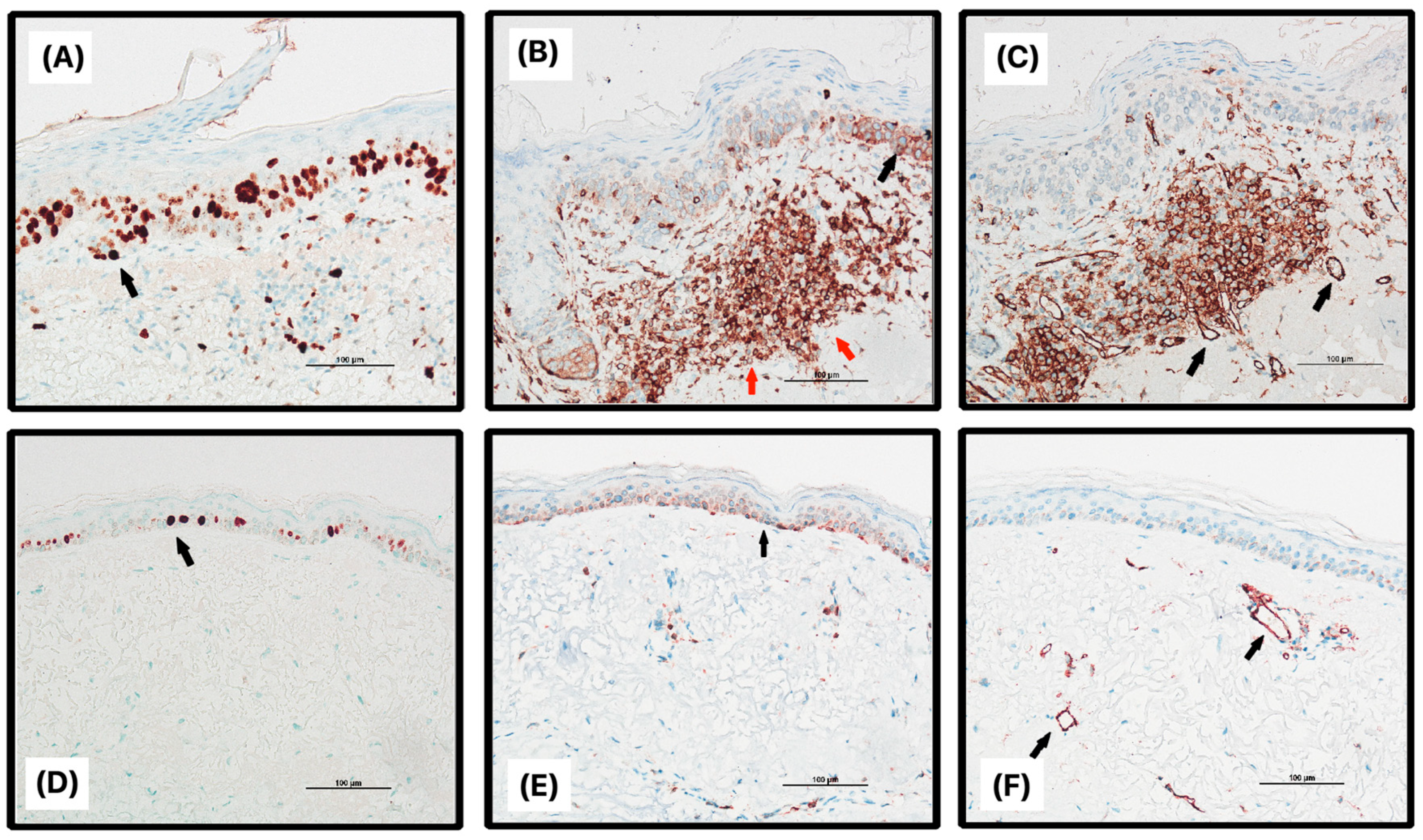 Jcm 12 07291 g002 Jcm 12 07291 g002