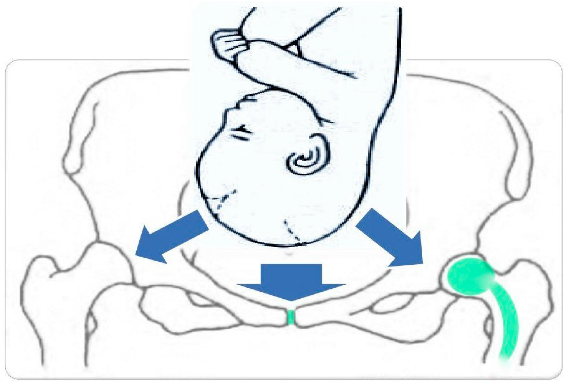 Supine Position Dimensions & Drawings