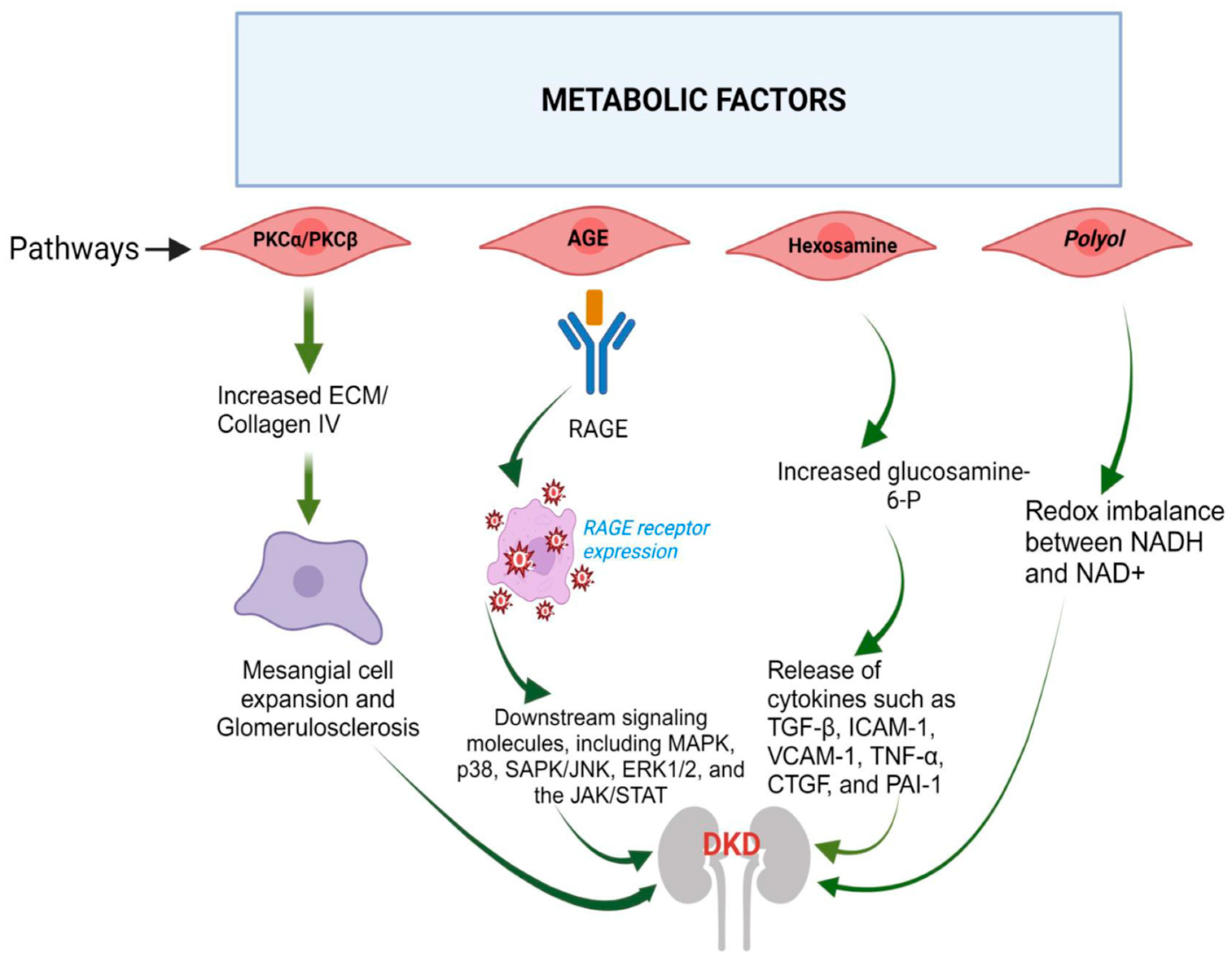 Jcm 12 07349 g002 Jcm 12 07349 g002