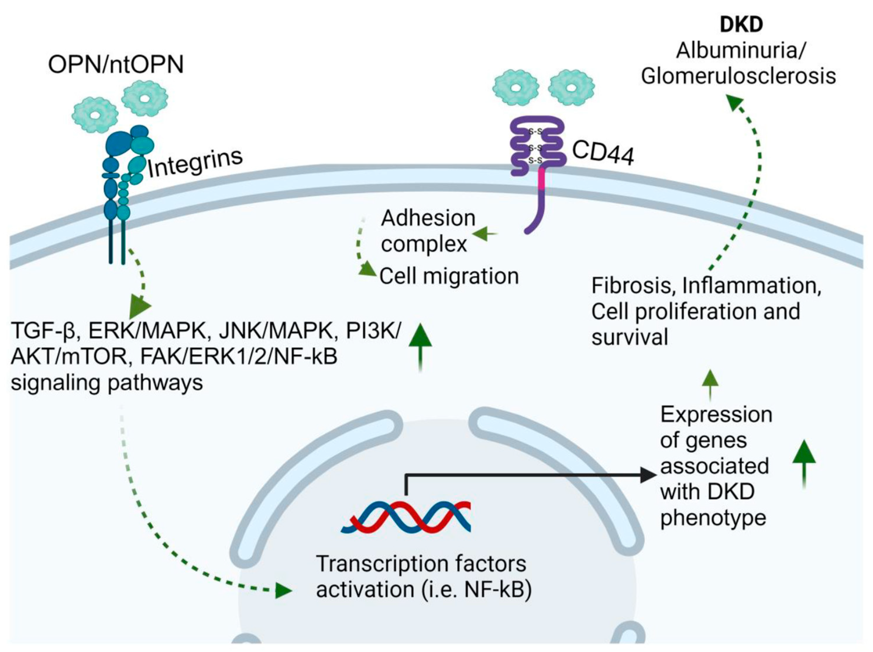 Jcm 12 07349 g007 Jcm 12 07349 g007