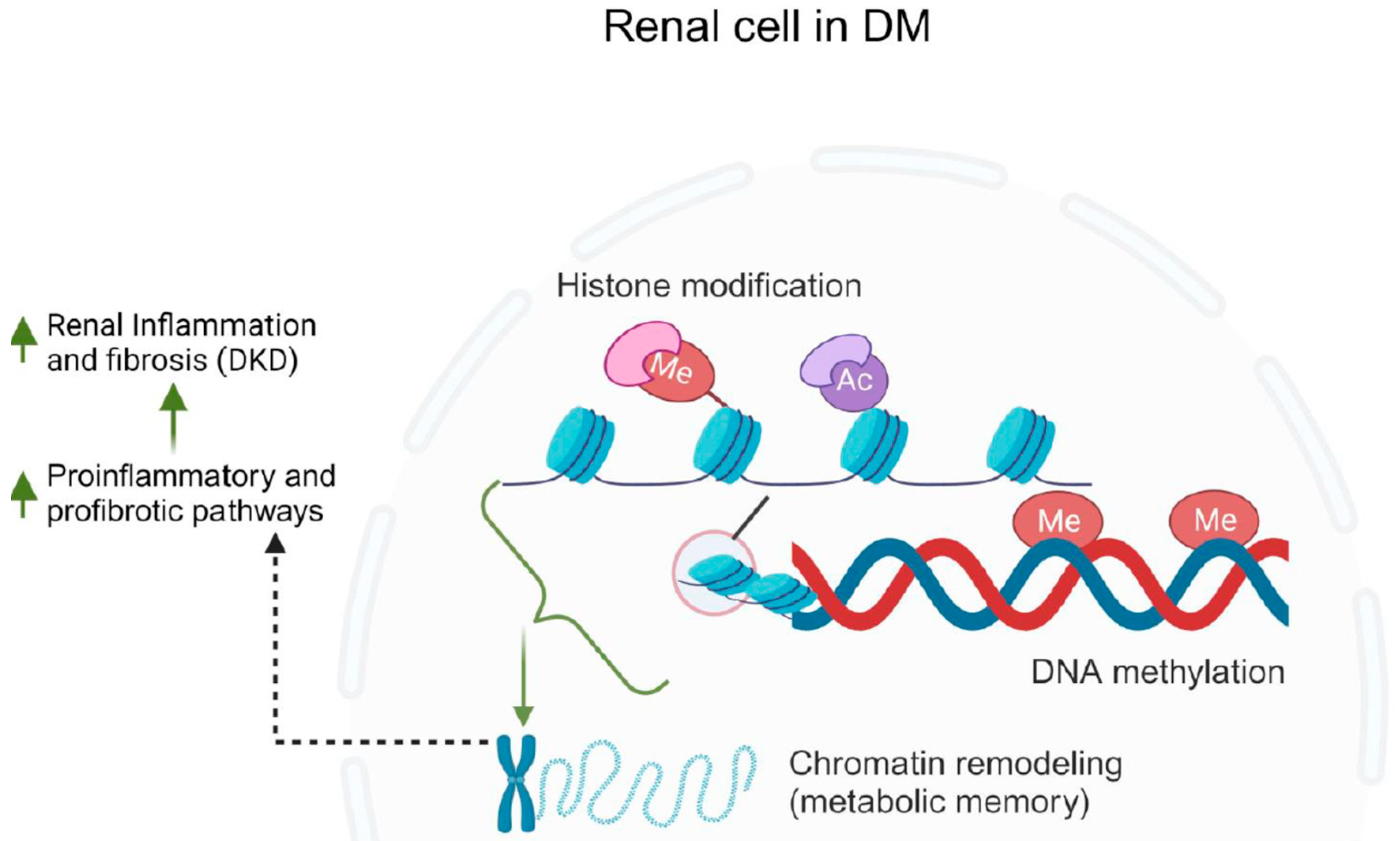 Jcm 12 07349 g008 Jcm 12 07349 g008
