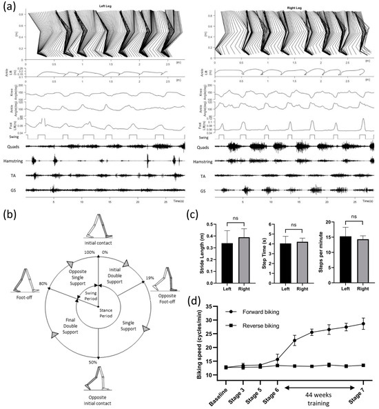 Restoration of Over-Ground Walking via Non-Invasive Neuromodulation Therapy: A Single-Case Study