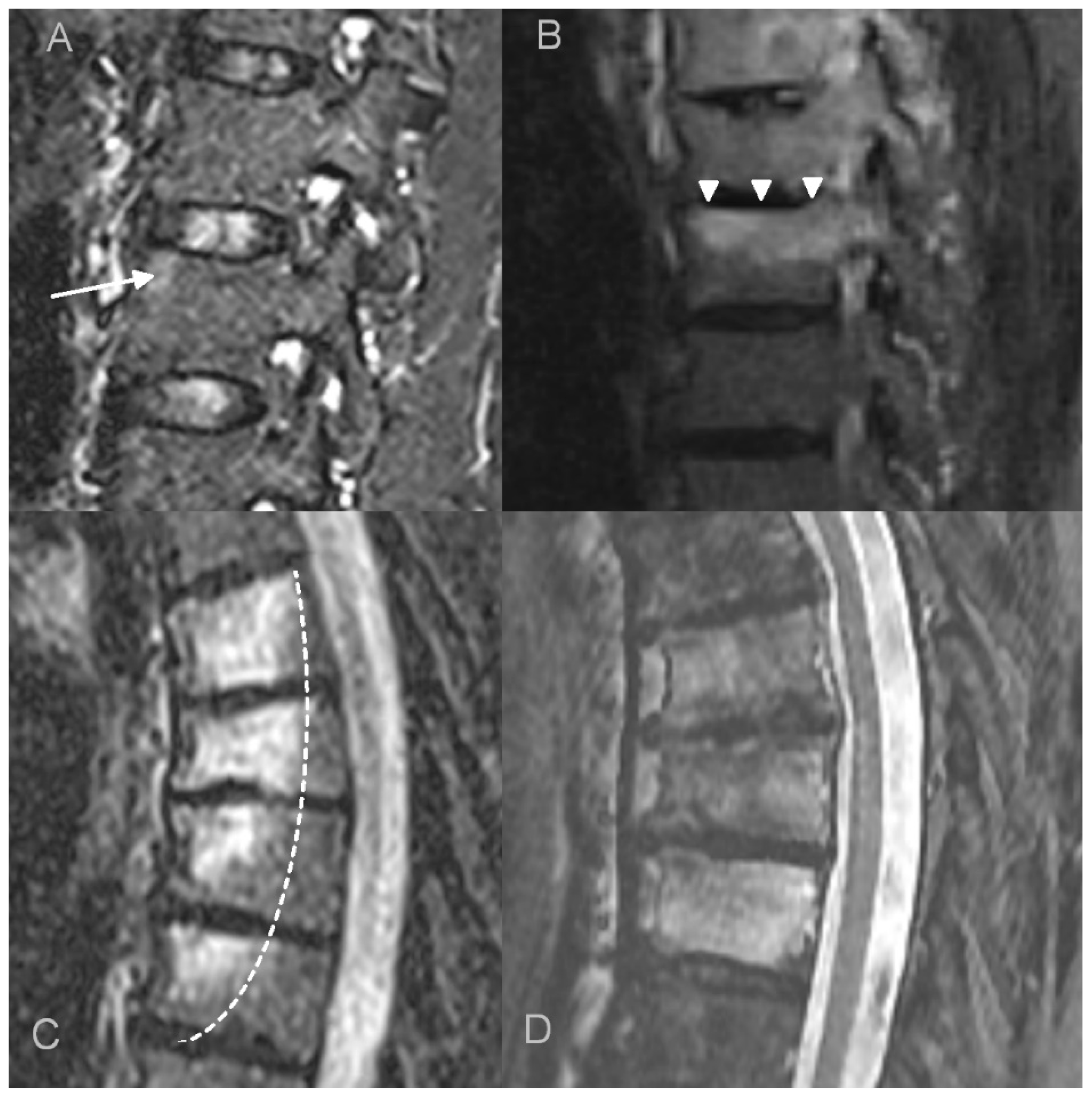 Jcm 12 07419 g001 Jcm 12 07419 g001