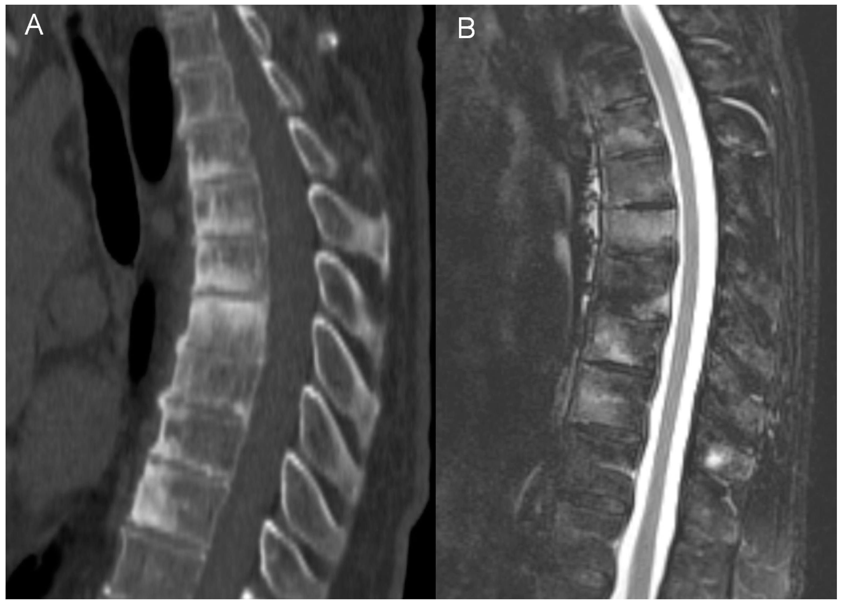 Jcm 12 07419 g004 Jcm 12 07419 g004