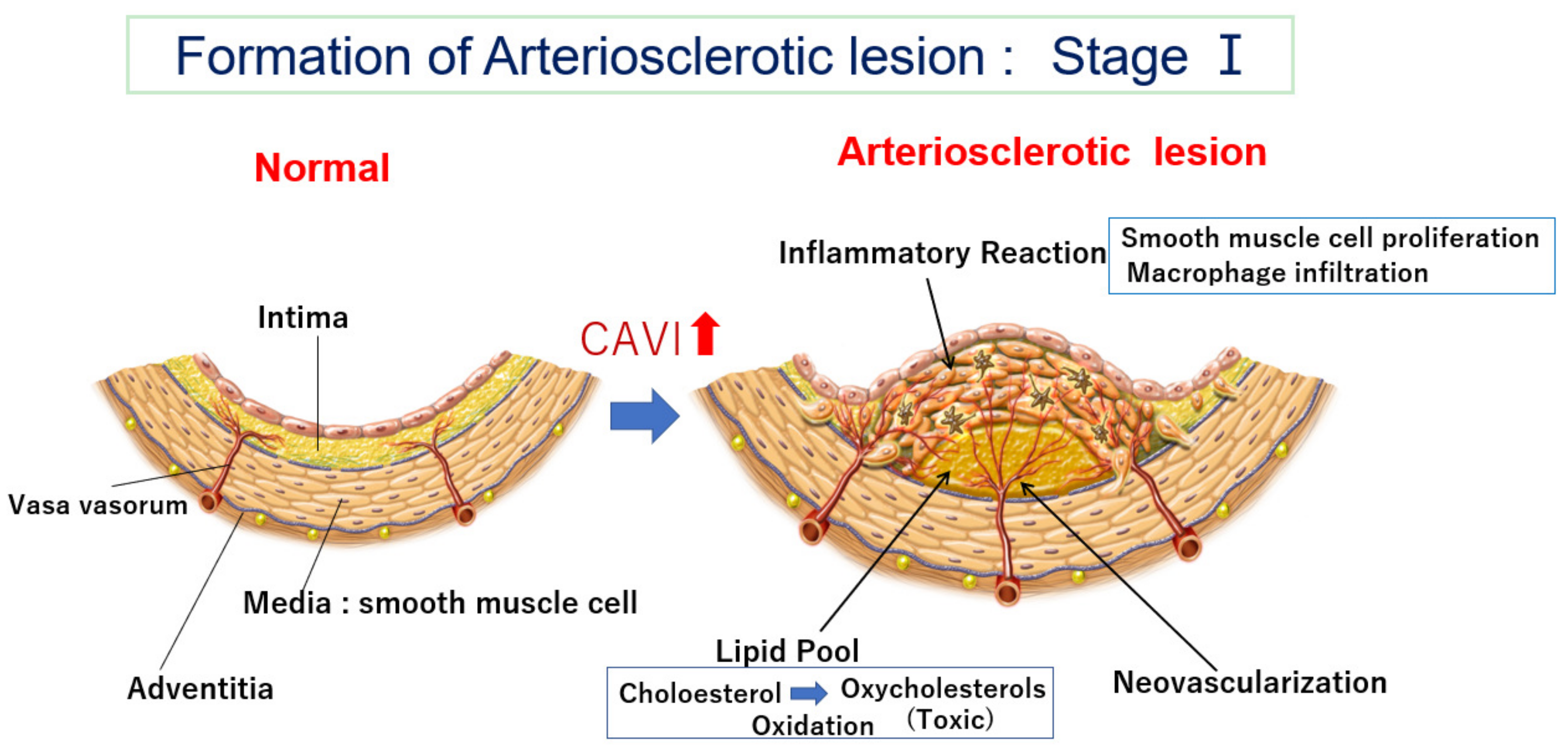 Jcm 12 07436 g001 Jcm 12 07436 g001